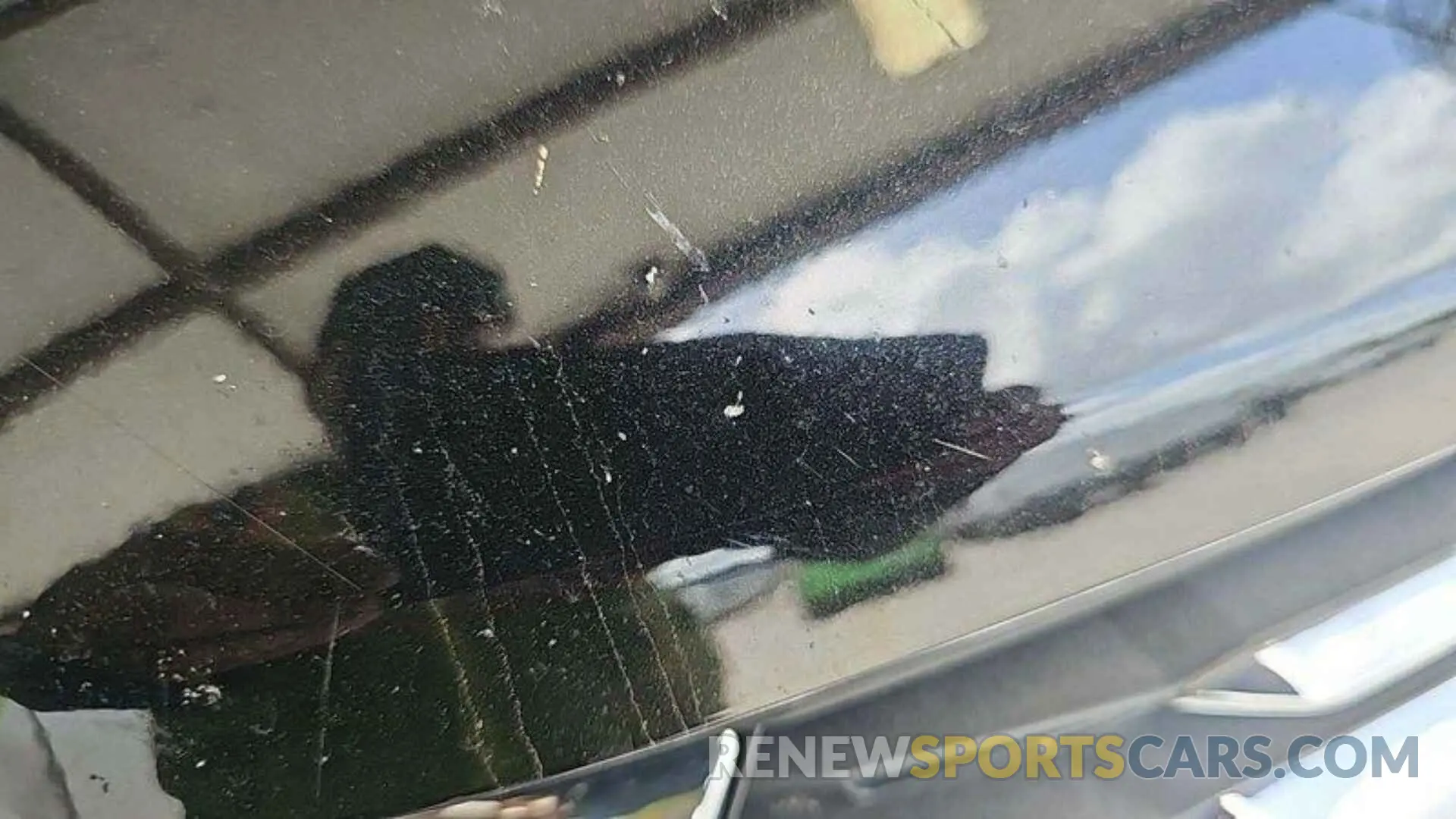 24 Photograph of a damaged car 1GNERHKW1NJ153829 CHEVROLET TRAVERSE 2022