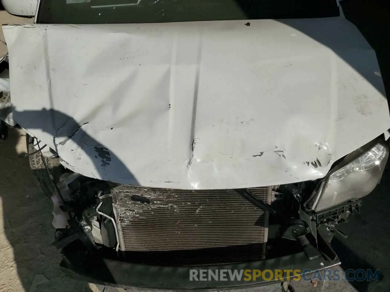 12 Photograph of a damaged car 2C4RDGCG1KR736709 DODGE CARAVAN 2019