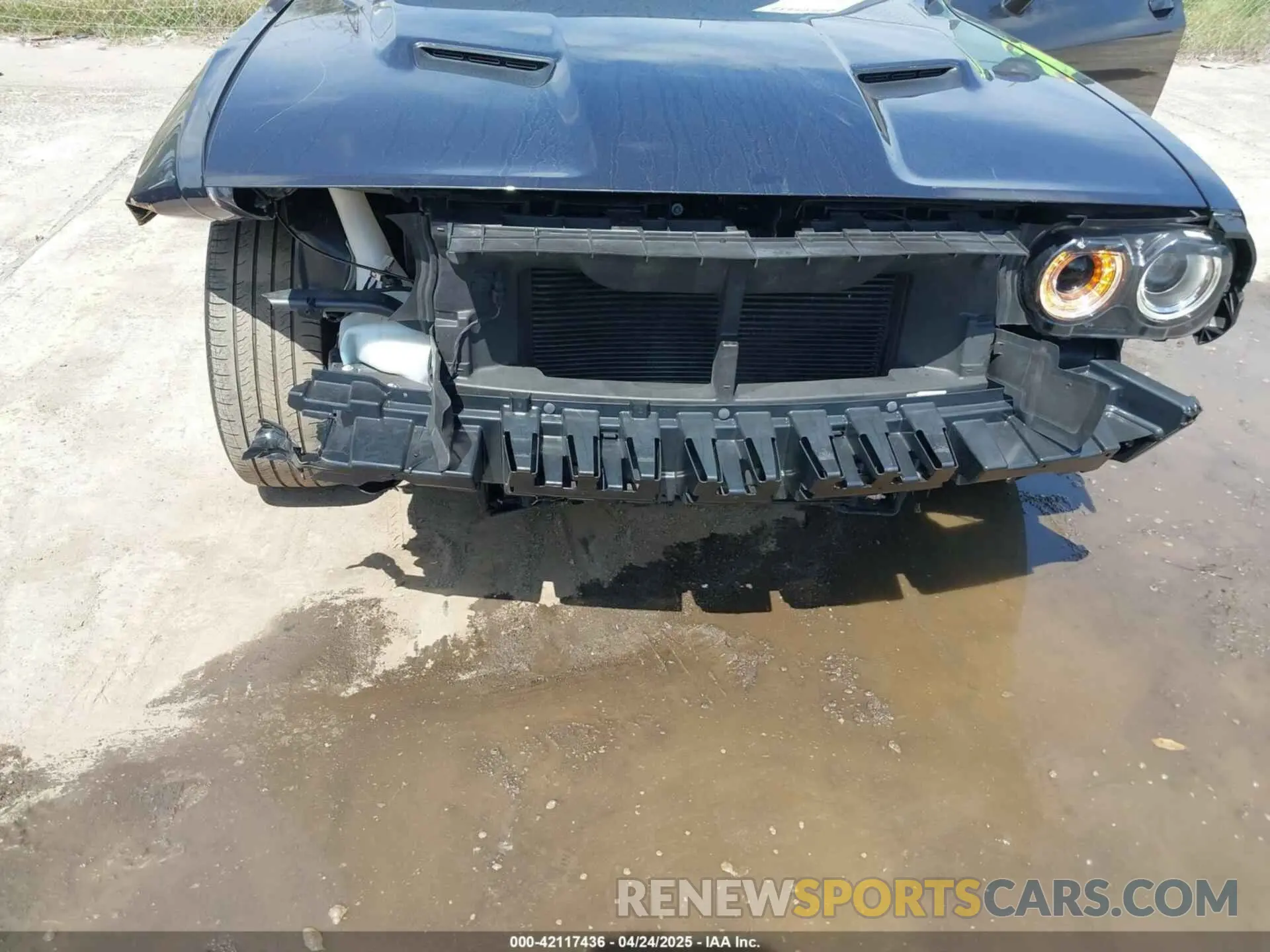 6 Photograph of a damaged car 2C3CDZAG4KH549107 DODGE CHALLENGER 2019