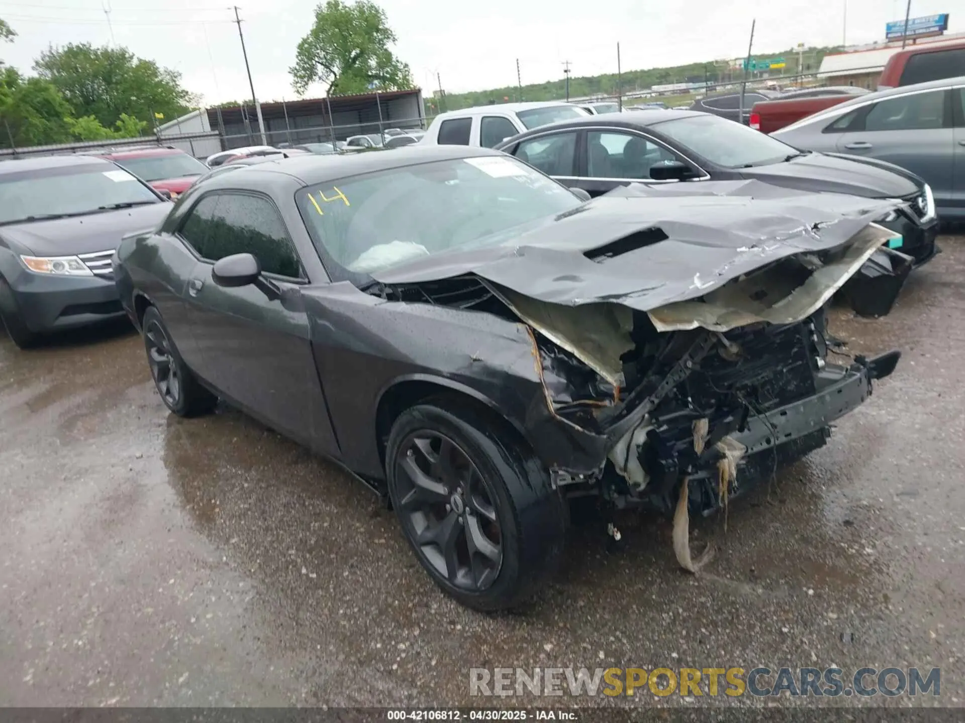 13 Photograph of a damaged car 2C3CDZAG5KH501681 DODGE CHALLENGER 2019