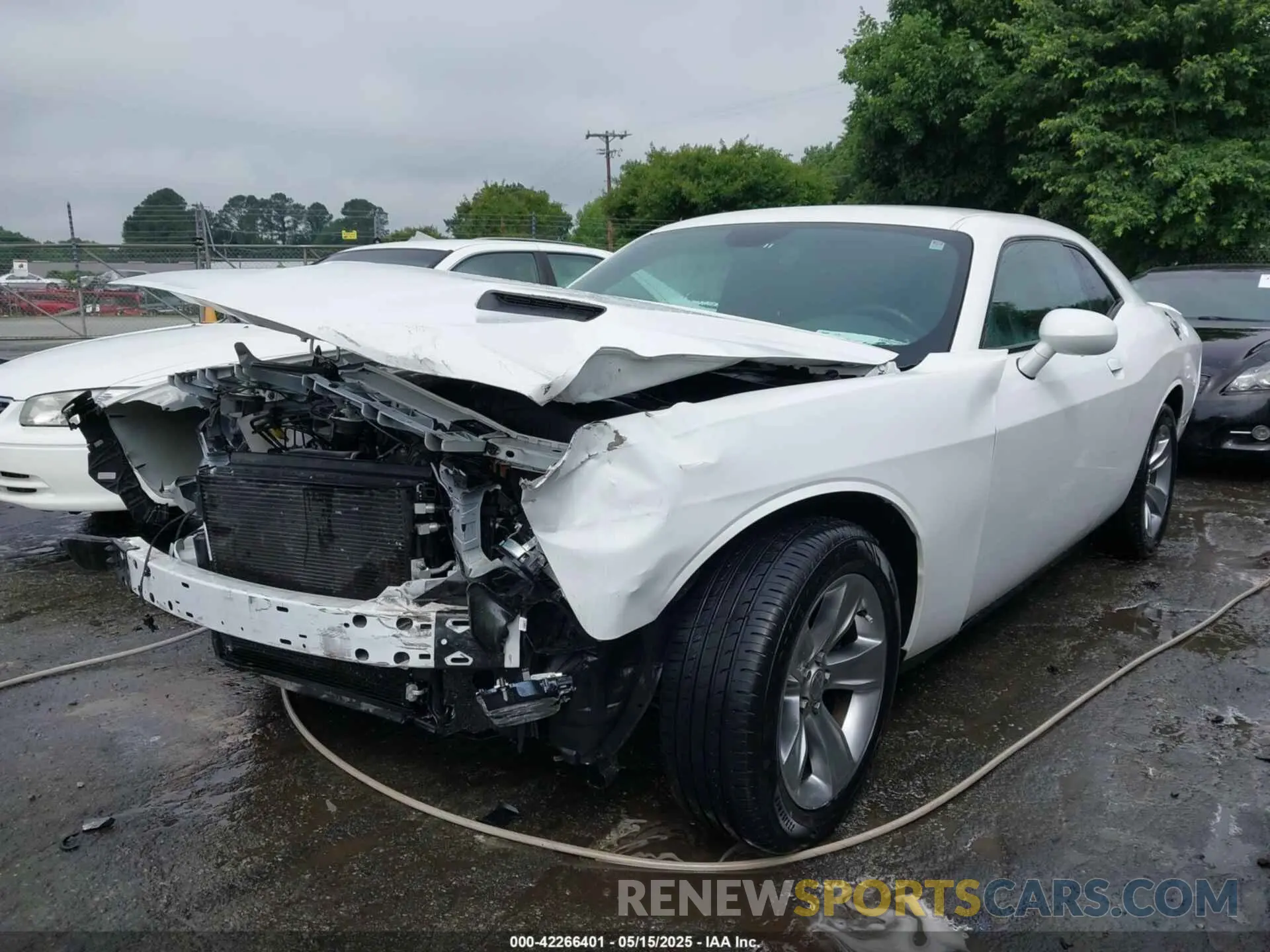 2 Photograph of a damaged car 2C3CDZAG7KH670018 DODGE CHALLENGER 2019