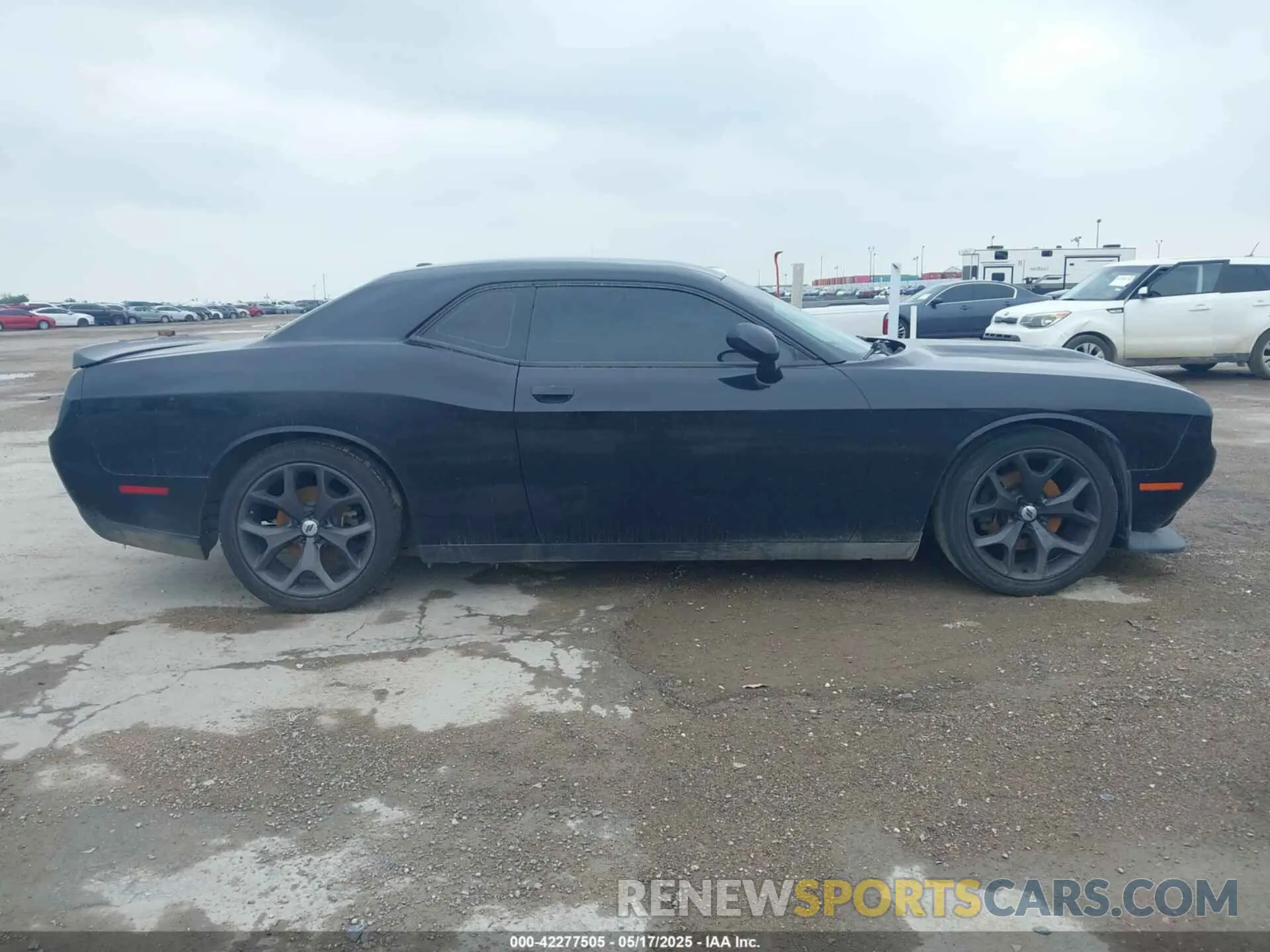 12 Photograph of a damaged car 2C3CDZBT0KH531389 DODGE CHALLENGER 2019