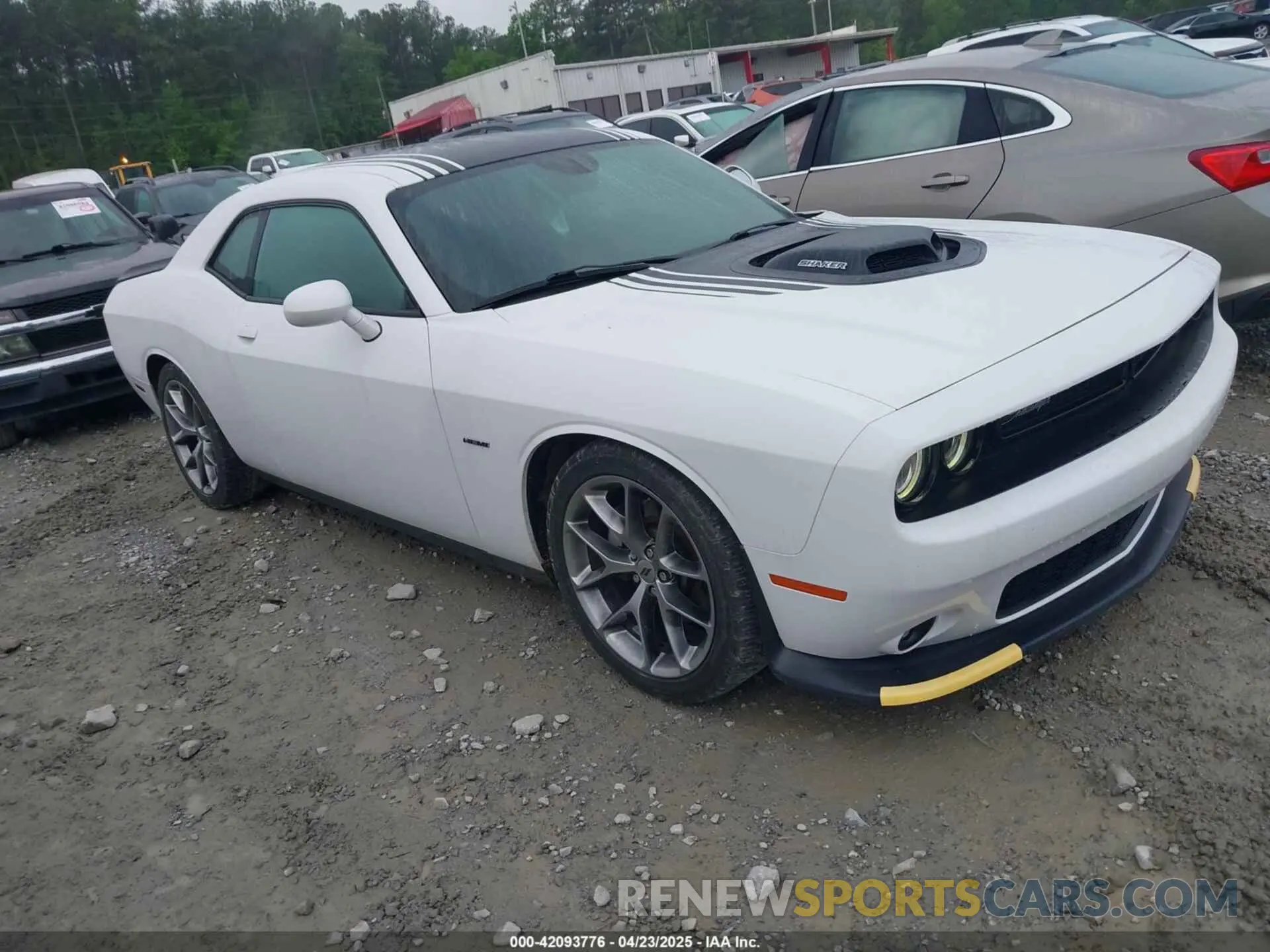 1 Photograph of a damaged car 2C3CDZBT4KH604103 DODGE CHALLENGER 2019