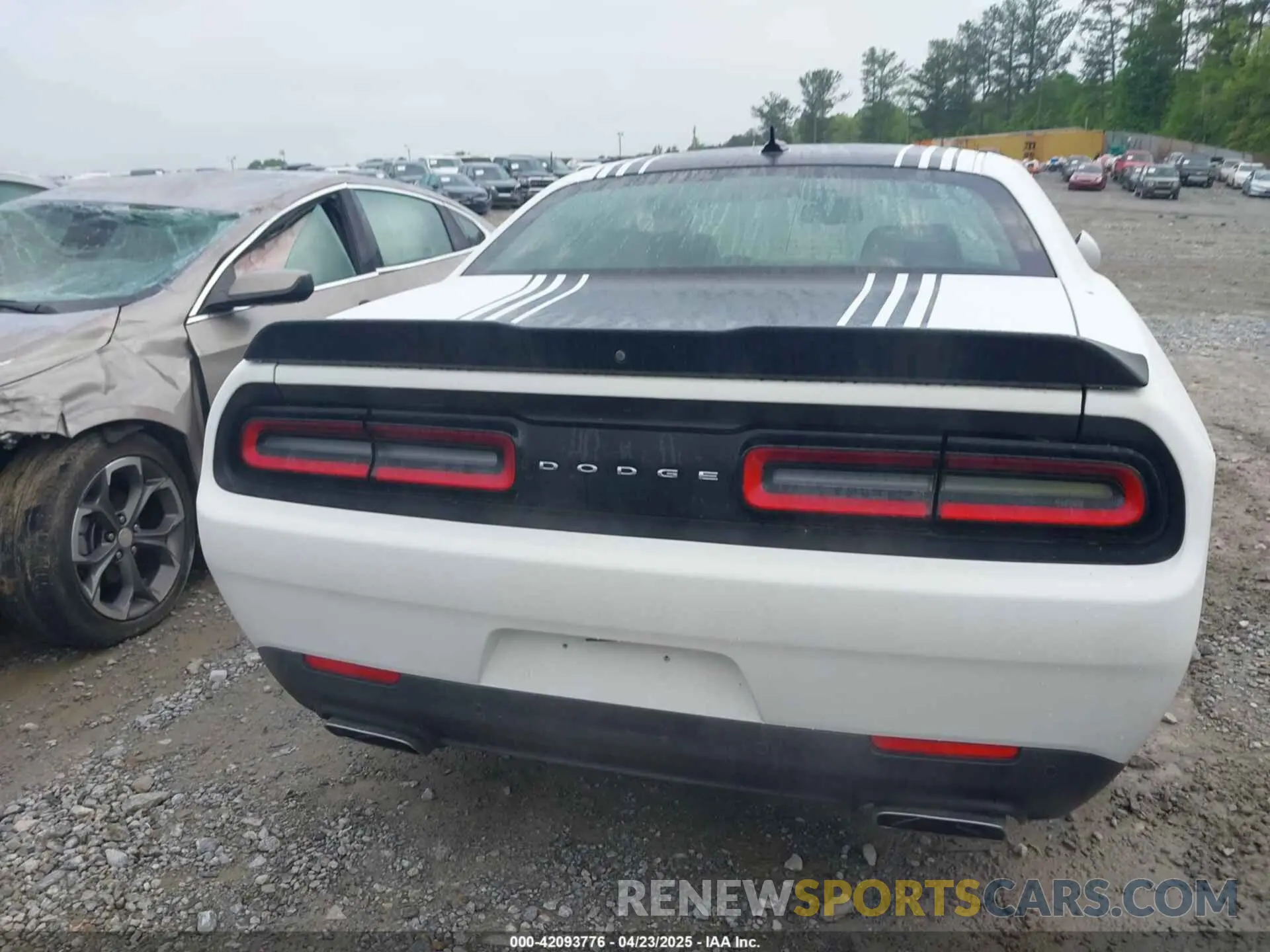 16 Photograph of a damaged car 2C3CDZBT4KH604103 DODGE CHALLENGER 2019