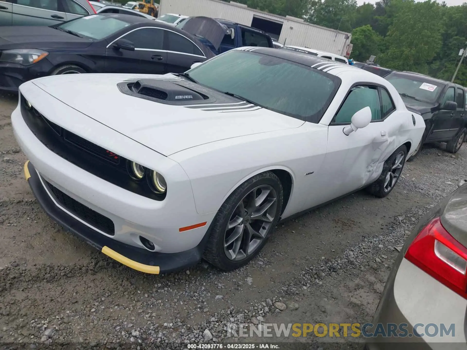 2 Photograph of a damaged car 2C3CDZBT4KH604103 DODGE CHALLENGER 2019