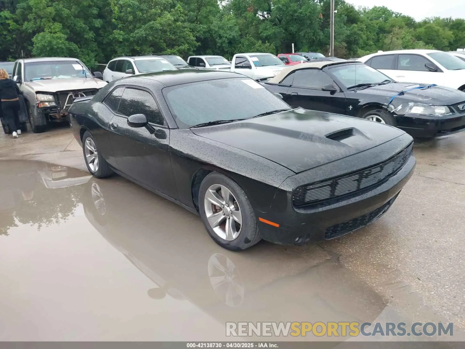 1 Photograph of a damaged car 2C3CDZBT6KH504293 DODGE CHALLENGER 2019