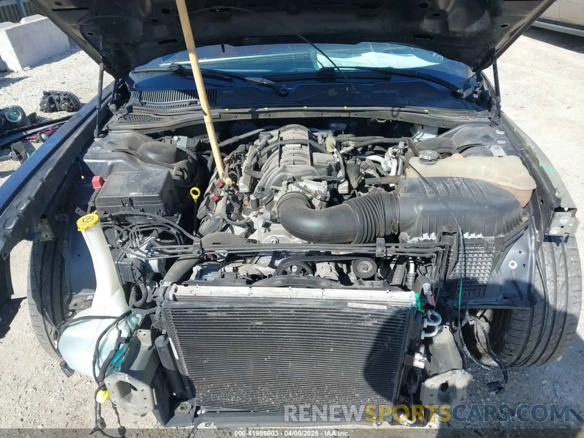 10 Photograph of a damaged car 2C3CDZBT7KH629240 DODGE CHALLENGER 2019