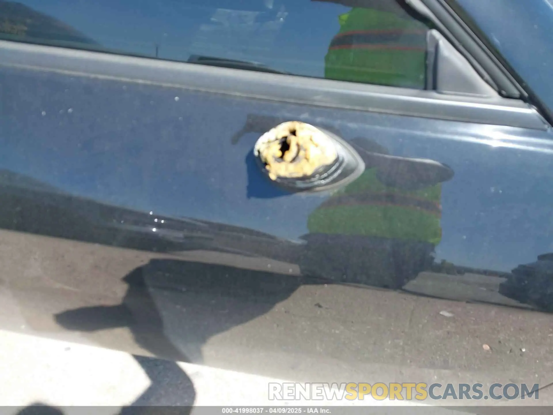 19 Photograph of a damaged car 2C3CDZFJ4KH687900 DODGE CHALLENGER 2019