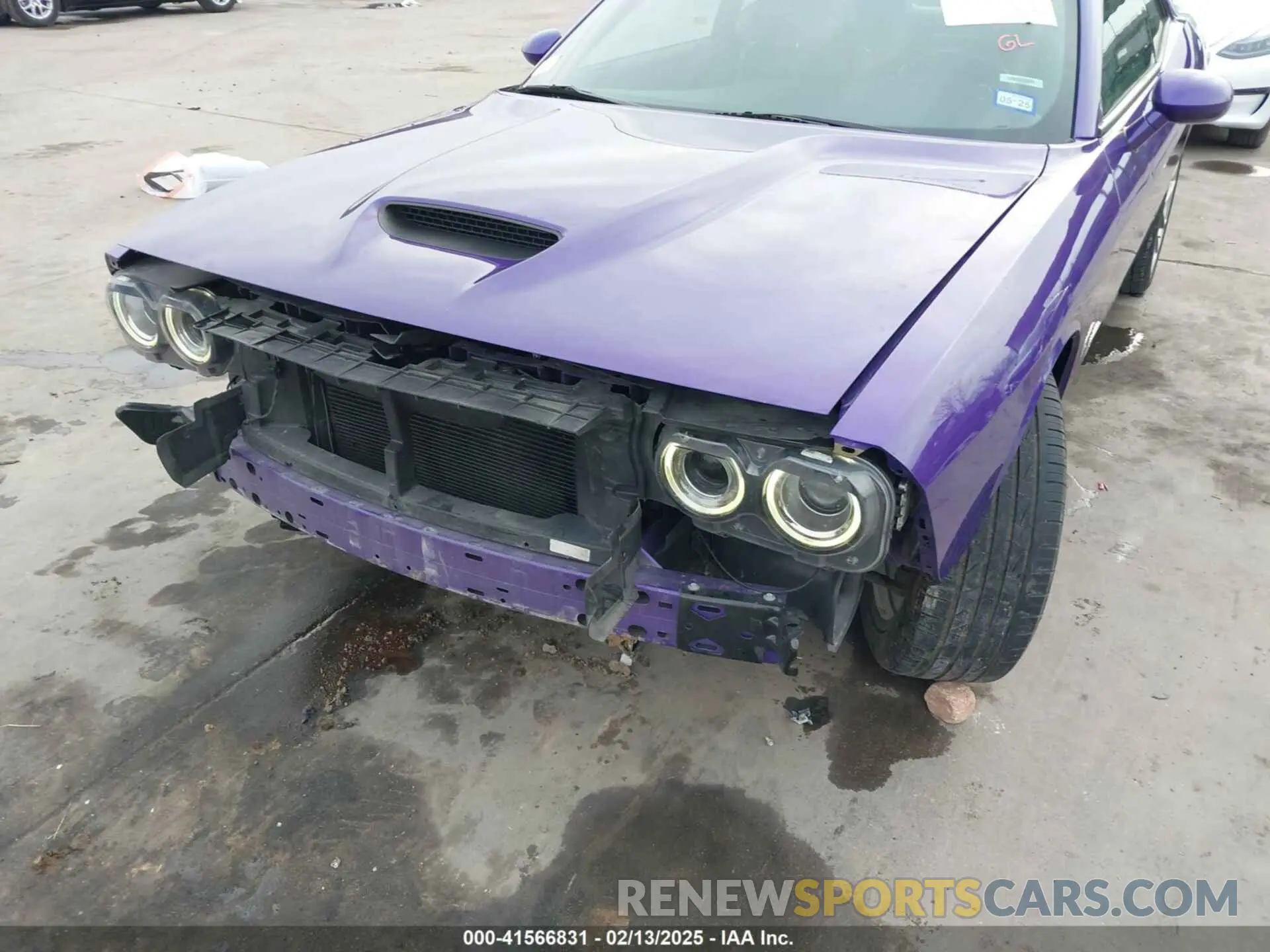 6 Photograph of a damaged car 2C3CDZJG8KH541396 DODGE CHALLENGER 2019
