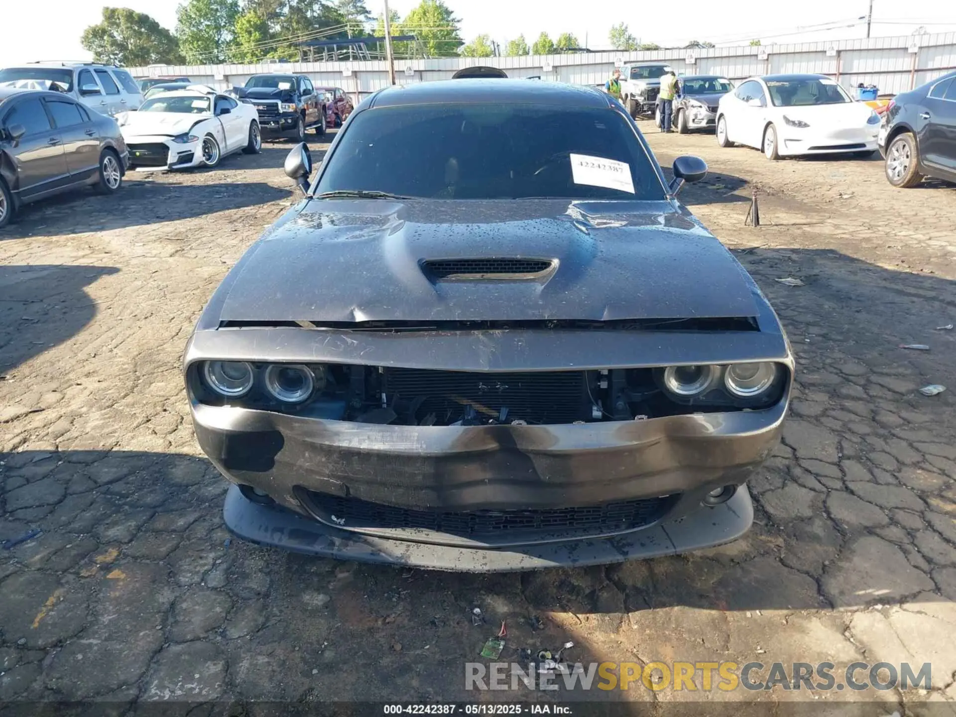 6 Photograph of a damaged car 2C3CDZJG8KH660954 DODGE CHALLENGER 2019
