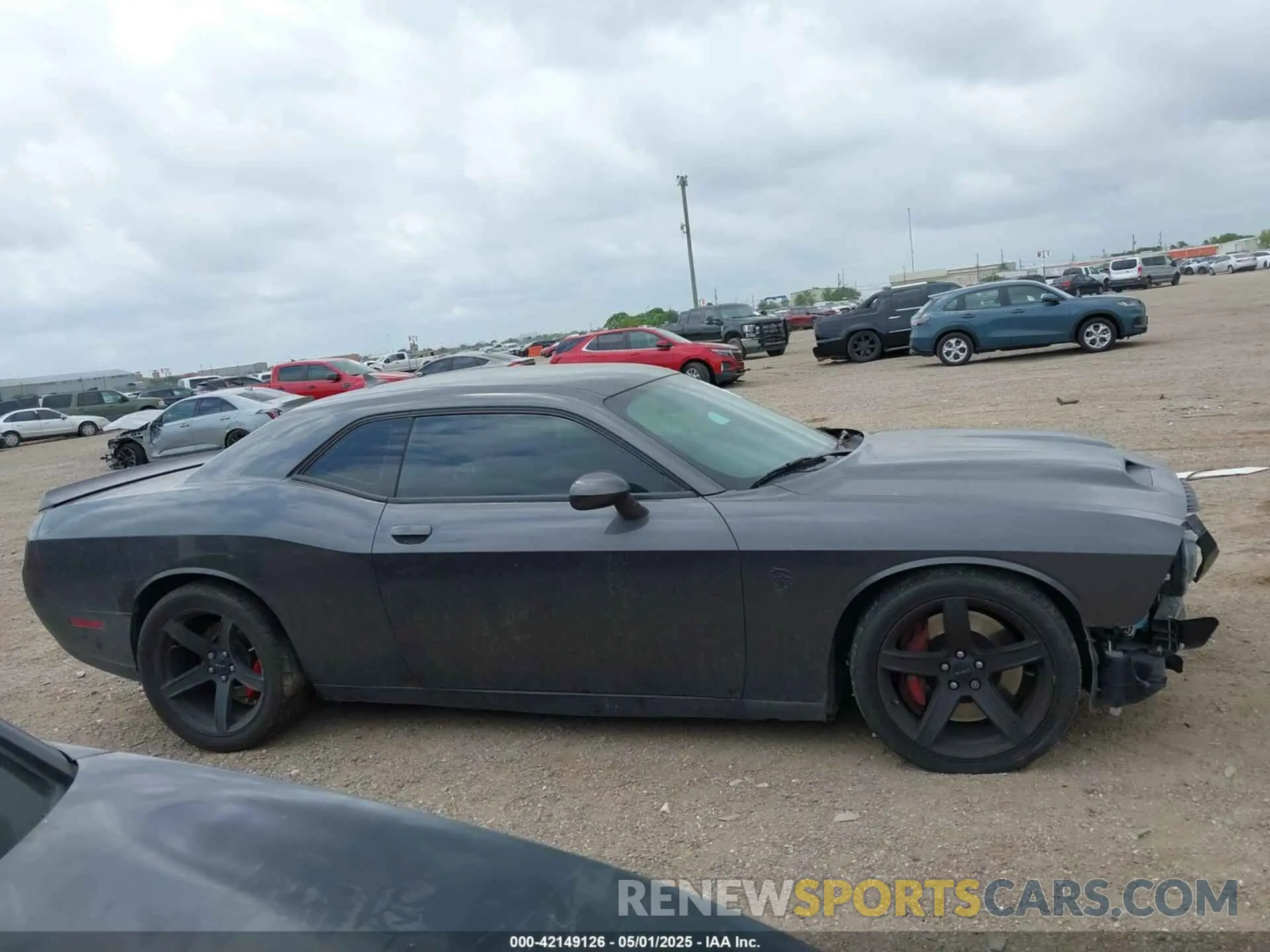 14 Photograph of a damaged car 2C3CDZL95KH695031 DODGE CHALLENGER 2019