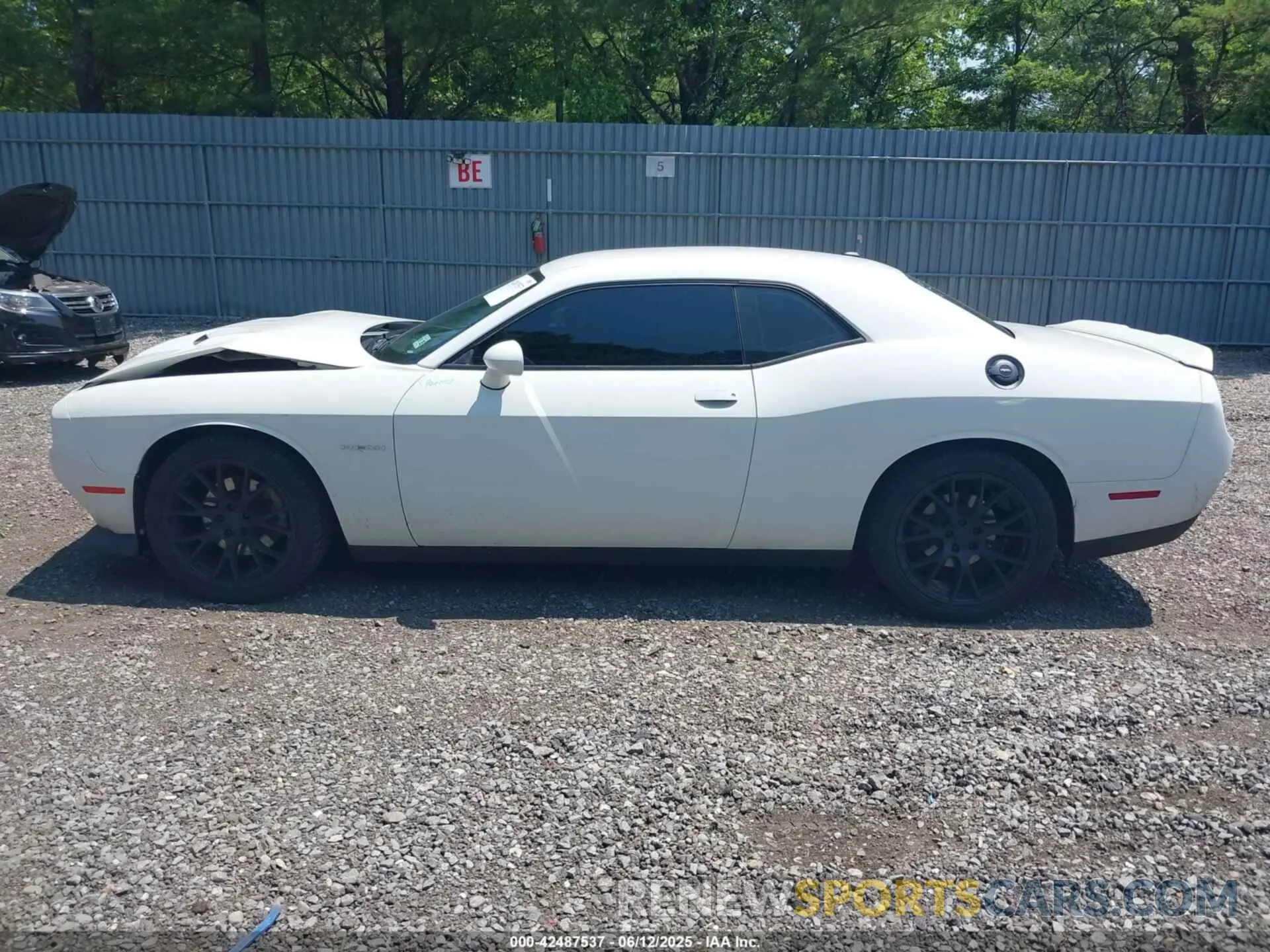 14 Photograph of a damaged car 2C3CDZBT3LH210254 DODGE CHALLENGER 2020