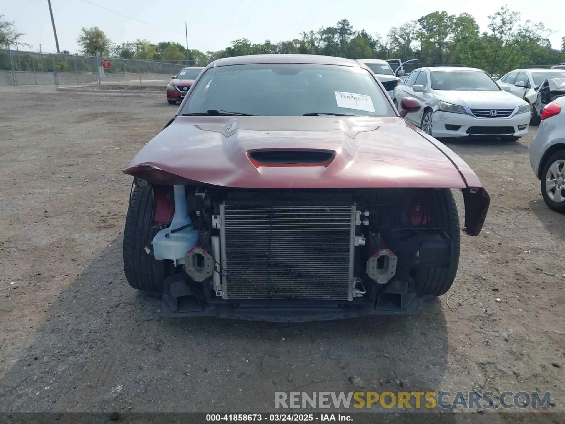 12 Photograph of a damaged car 2C3CDZJG9LH231100 DODGE CHALLENGER 2020