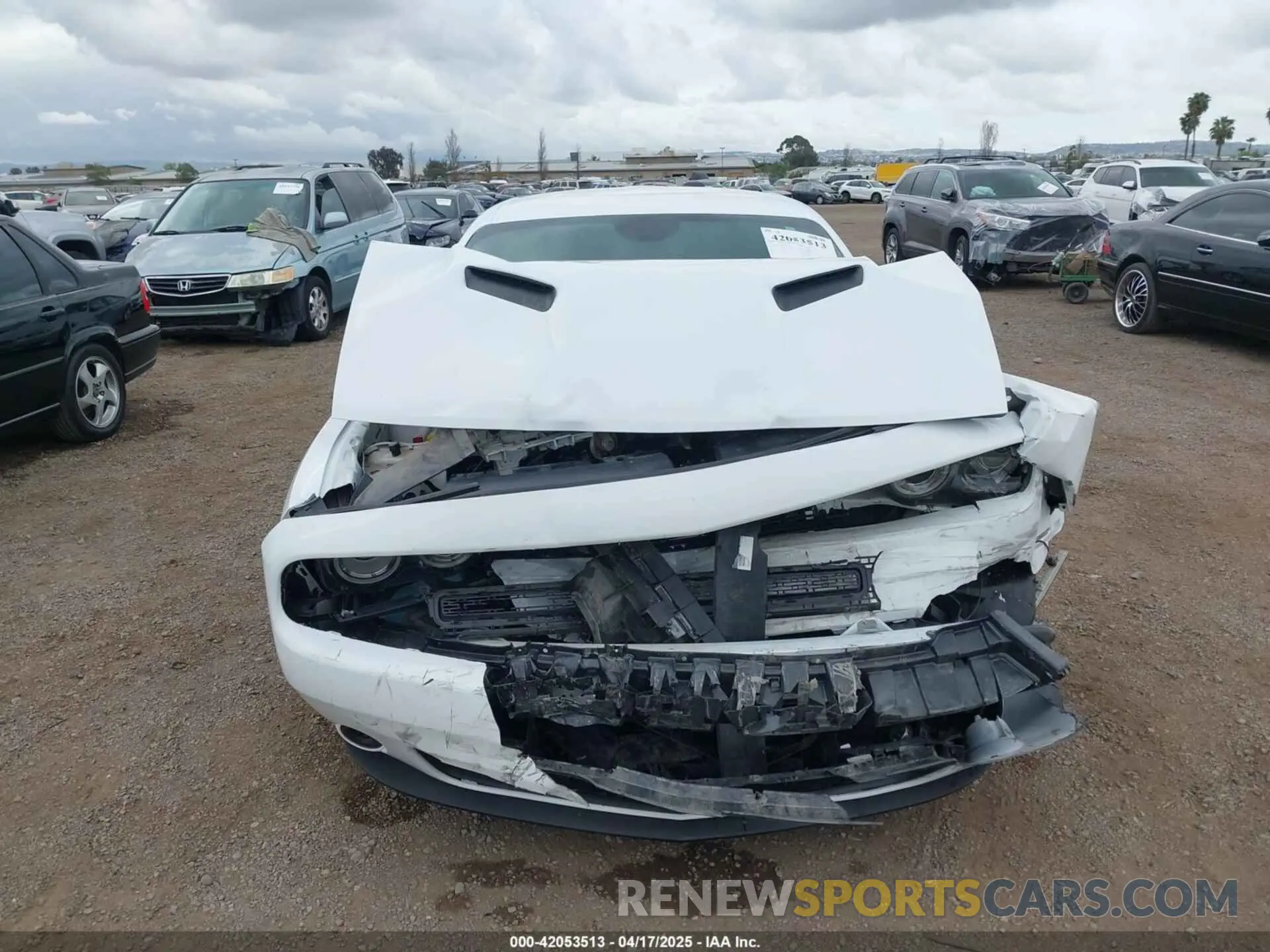 12 Photograph of a damaged car 2C3CDZAG4MH646245 DODGE CHALLENGER 2021