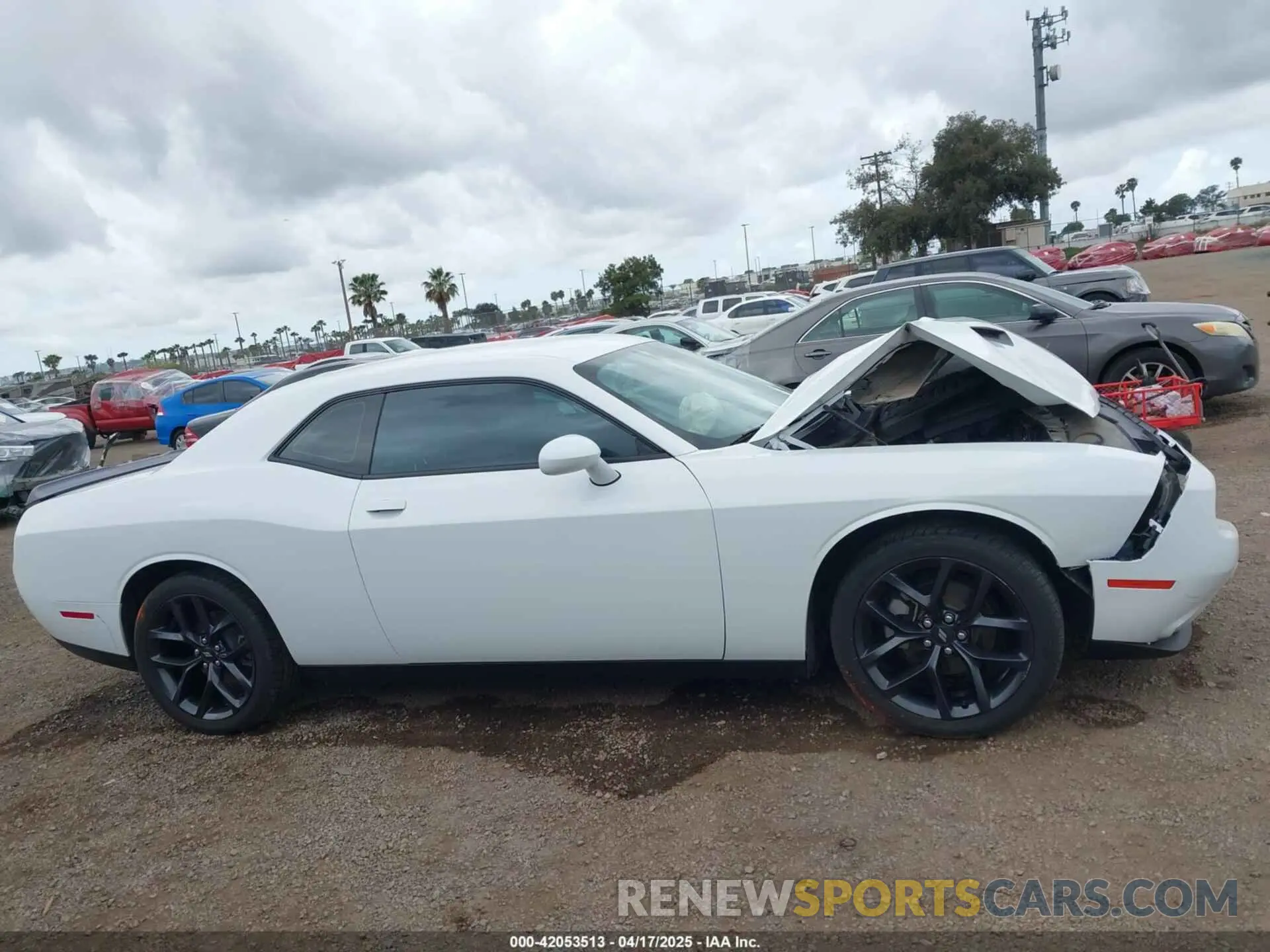 13 Photograph of a damaged car 2C3CDZAG4MH646245 DODGE CHALLENGER 2021