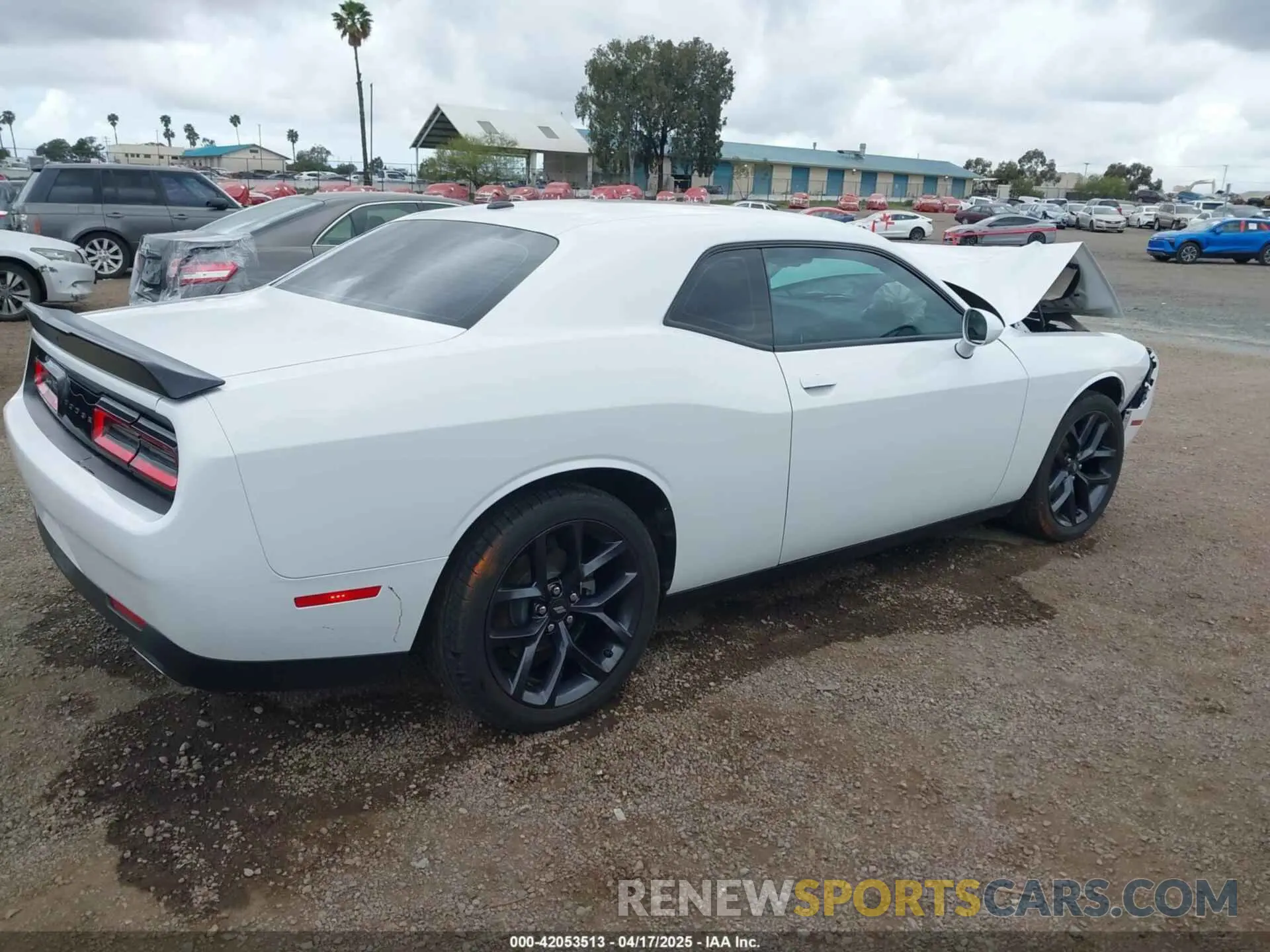 4 Photograph of a damaged car 2C3CDZAG4MH646245 DODGE CHALLENGER 2021