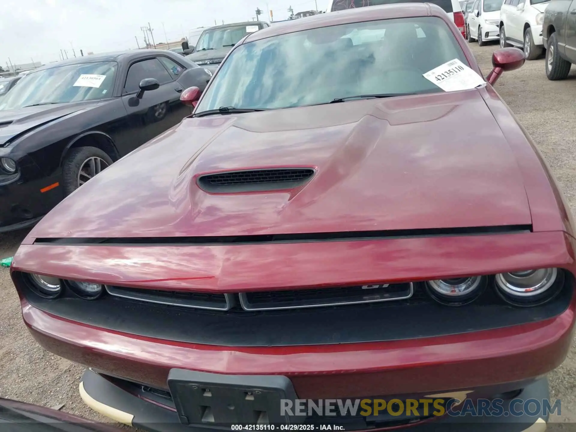 6 Photograph of a damaged car 2C3CDZJG7MH660303 DODGE CHALLENGER 2021