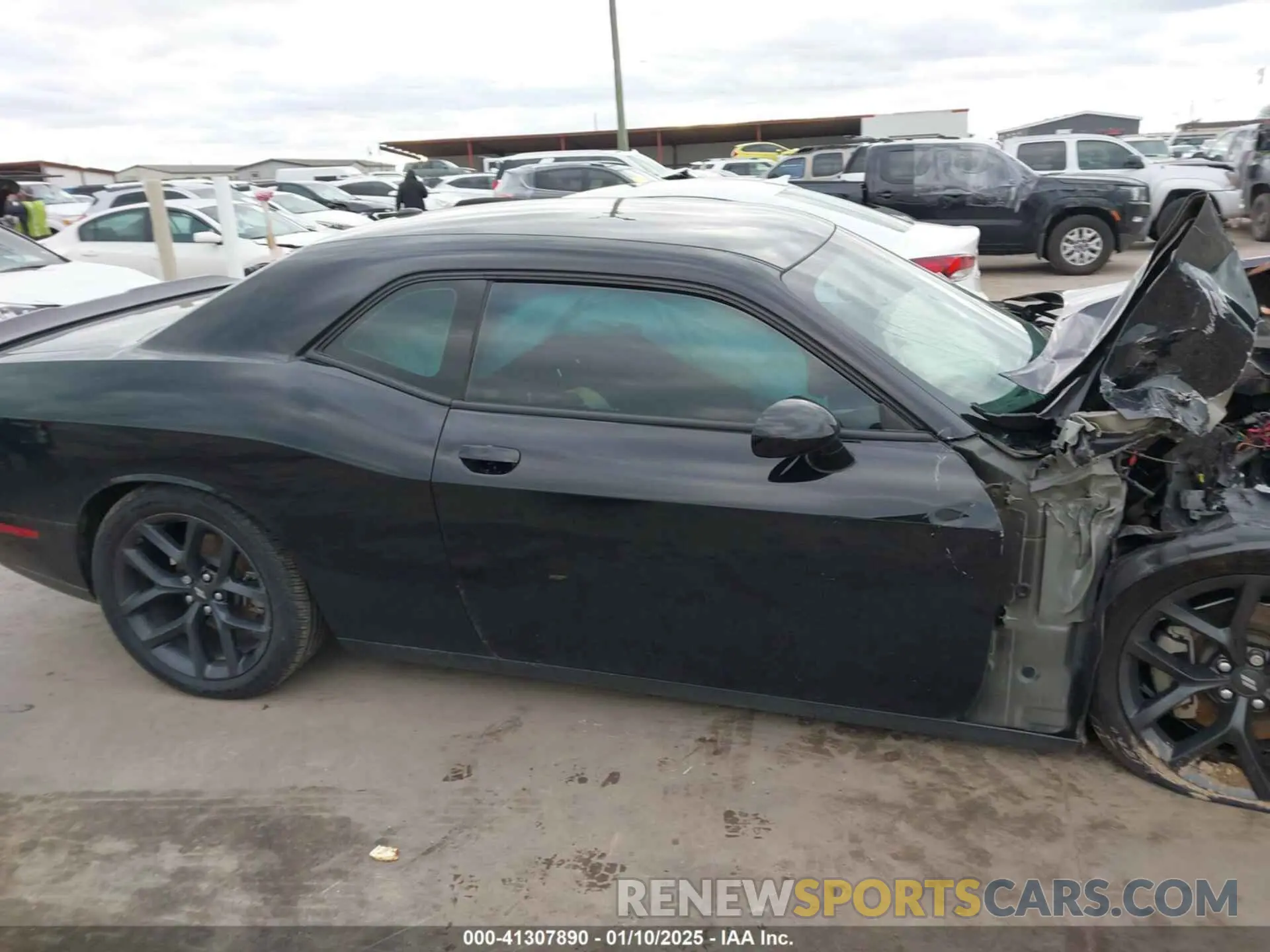 13 Photograph of a damaged car 2C3CDZJG7NH191859 DODGE CHALLENGER 2022
