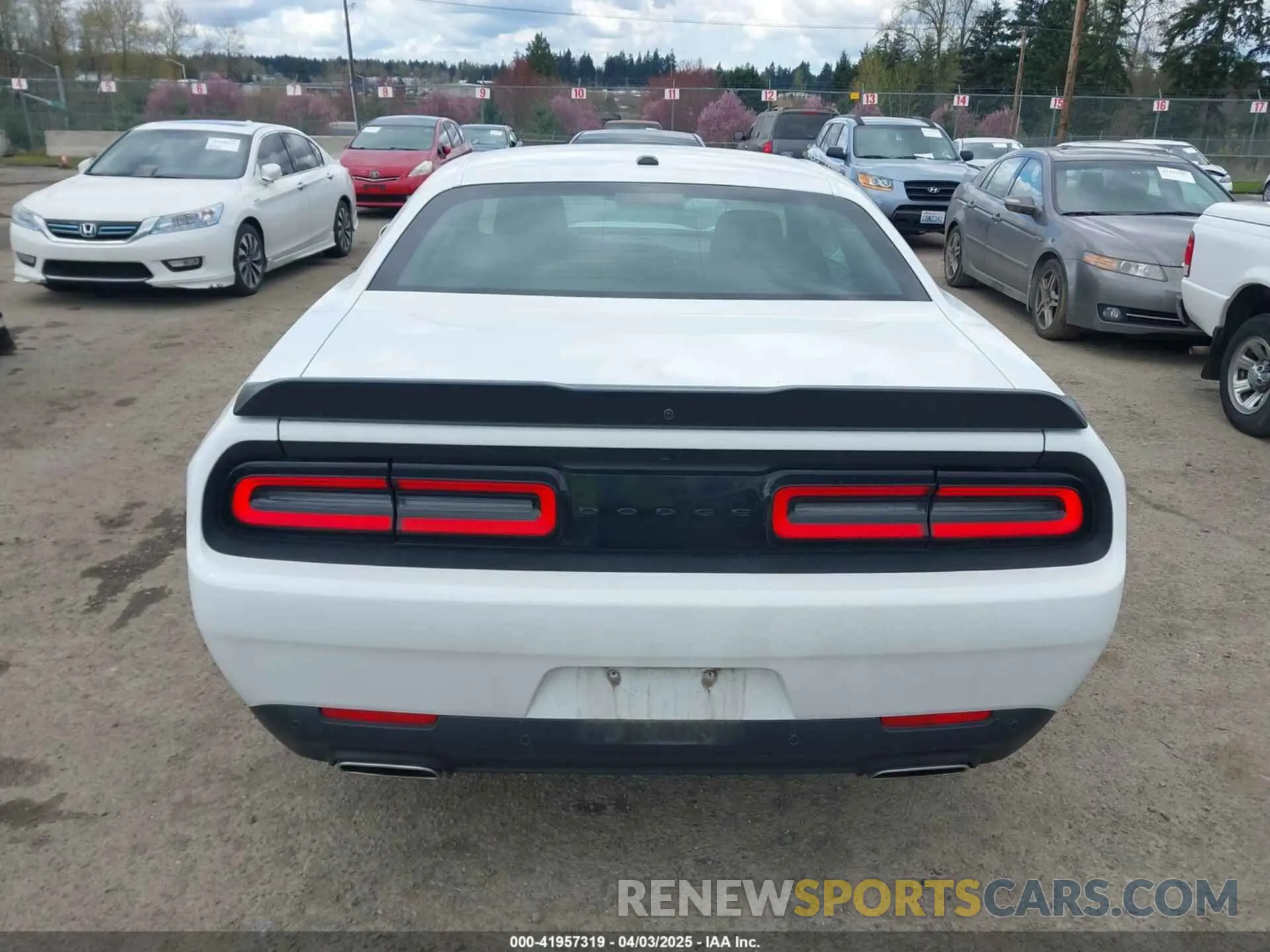 17 Photograph of a damaged car 2C3CDZJG9NH260762 DODGE CHALLENGER 2022