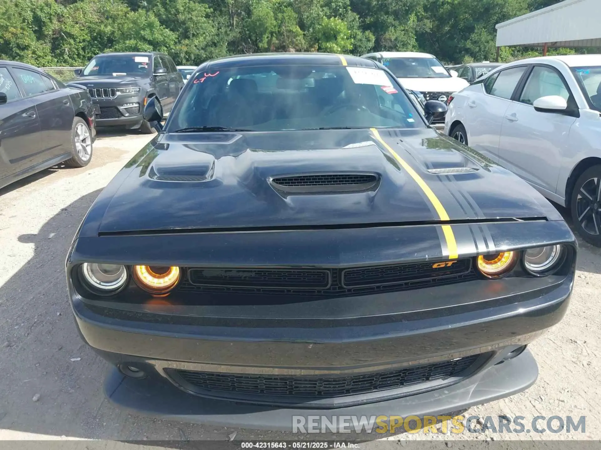 12 Photograph of a damaged car 2C3CDZJGXNH242352 DODGE CHALLENGER 2022