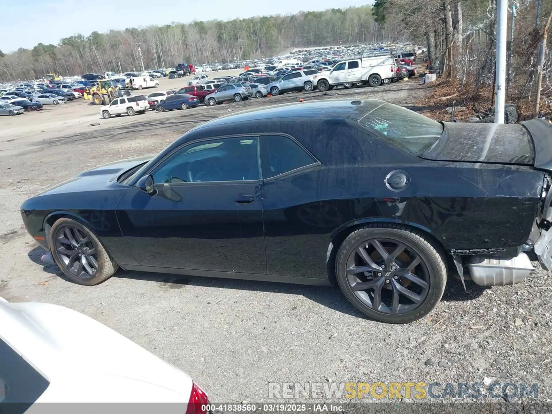 15 Photograph of a damaged car 2C3CDZJG3PH587161 DODGE CHALLENGER 2023