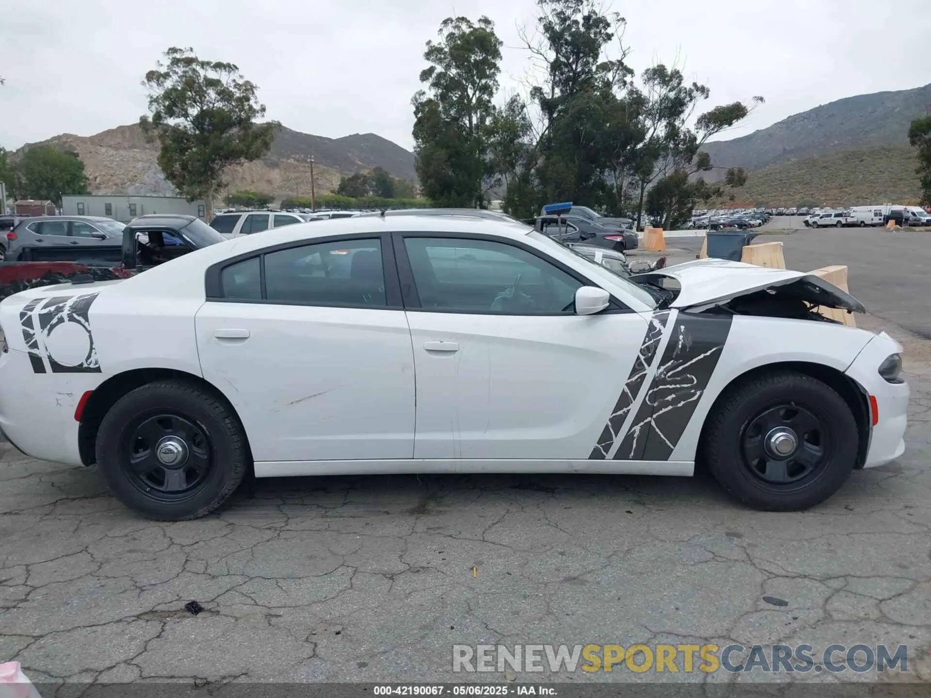 12 Photograph of a damaged car 2C3CDXAG2KH748418 DODGE CHARGER 2019