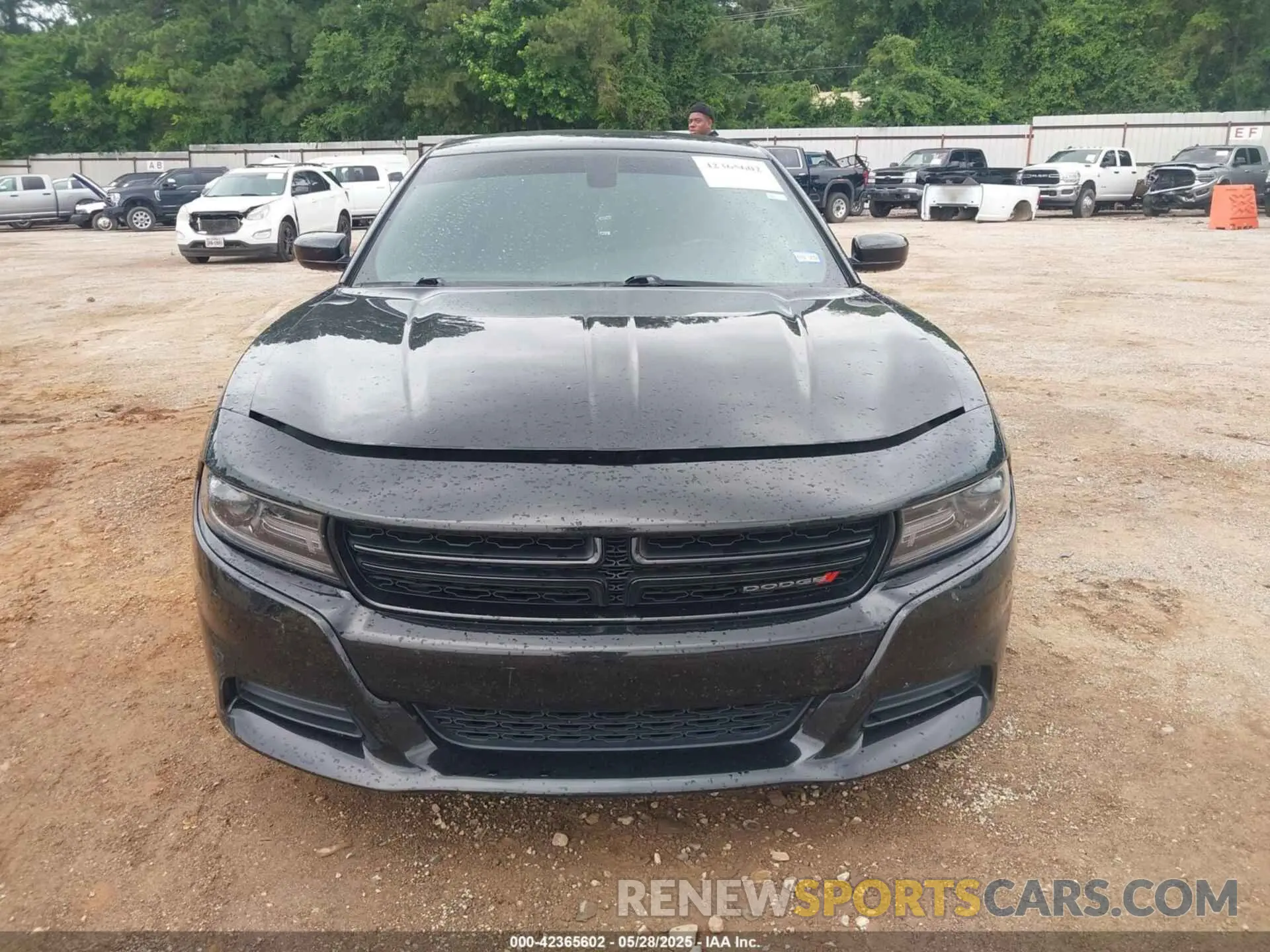 13 Photograph of a damaged car 2C3CDXBG8KH753153 DODGE CHARGER 2019