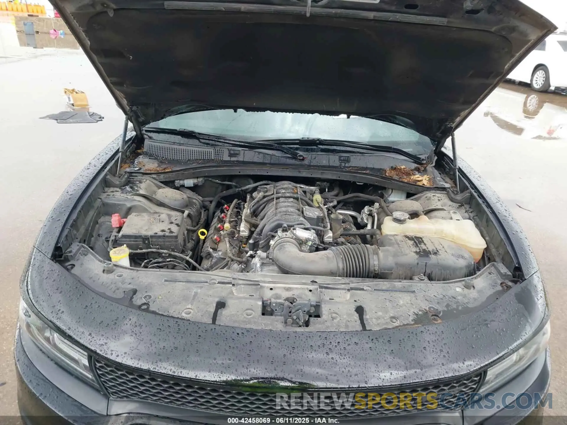 10 Photograph of a damaged car 2C3CDXCT0KH631916 DODGE CHARGER 2019