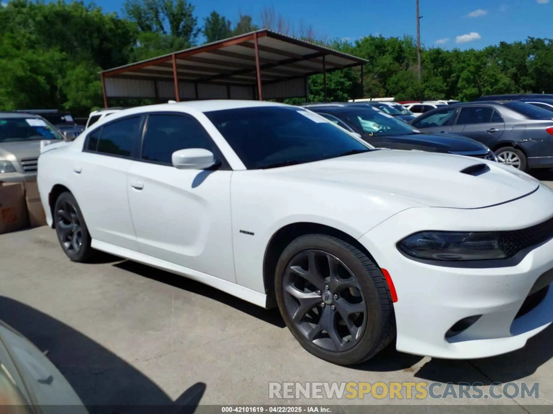 12 Photograph of a damaged car 2C3CDXCT8KH631906 DODGE CHARGER 2019