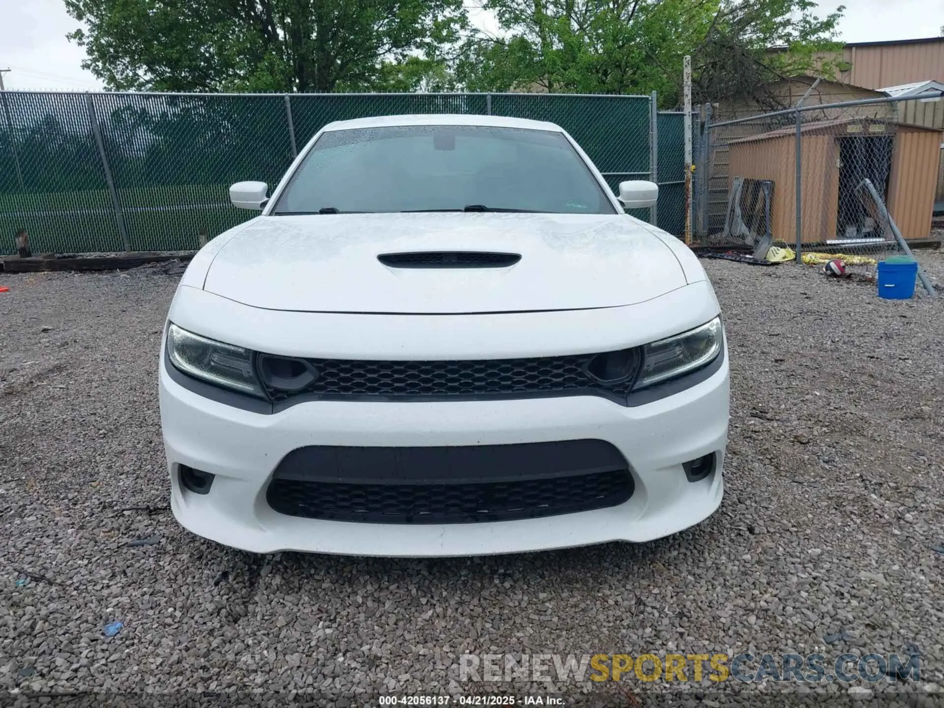 12 Photograph of a damaged car 2C3CDXGJ9KH691136 DODGE CHARGER 2019