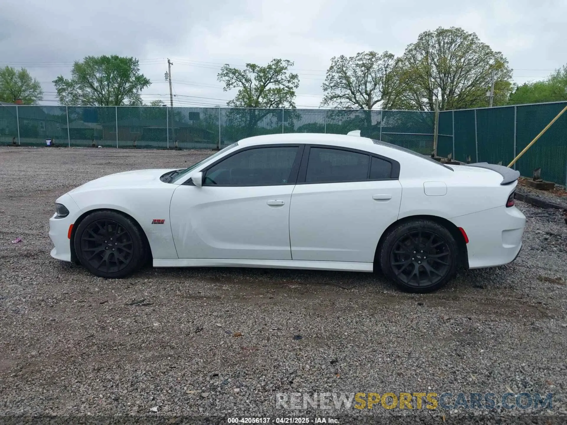 14 Photograph of a damaged car 2C3CDXGJ9KH691136 DODGE CHARGER 2019