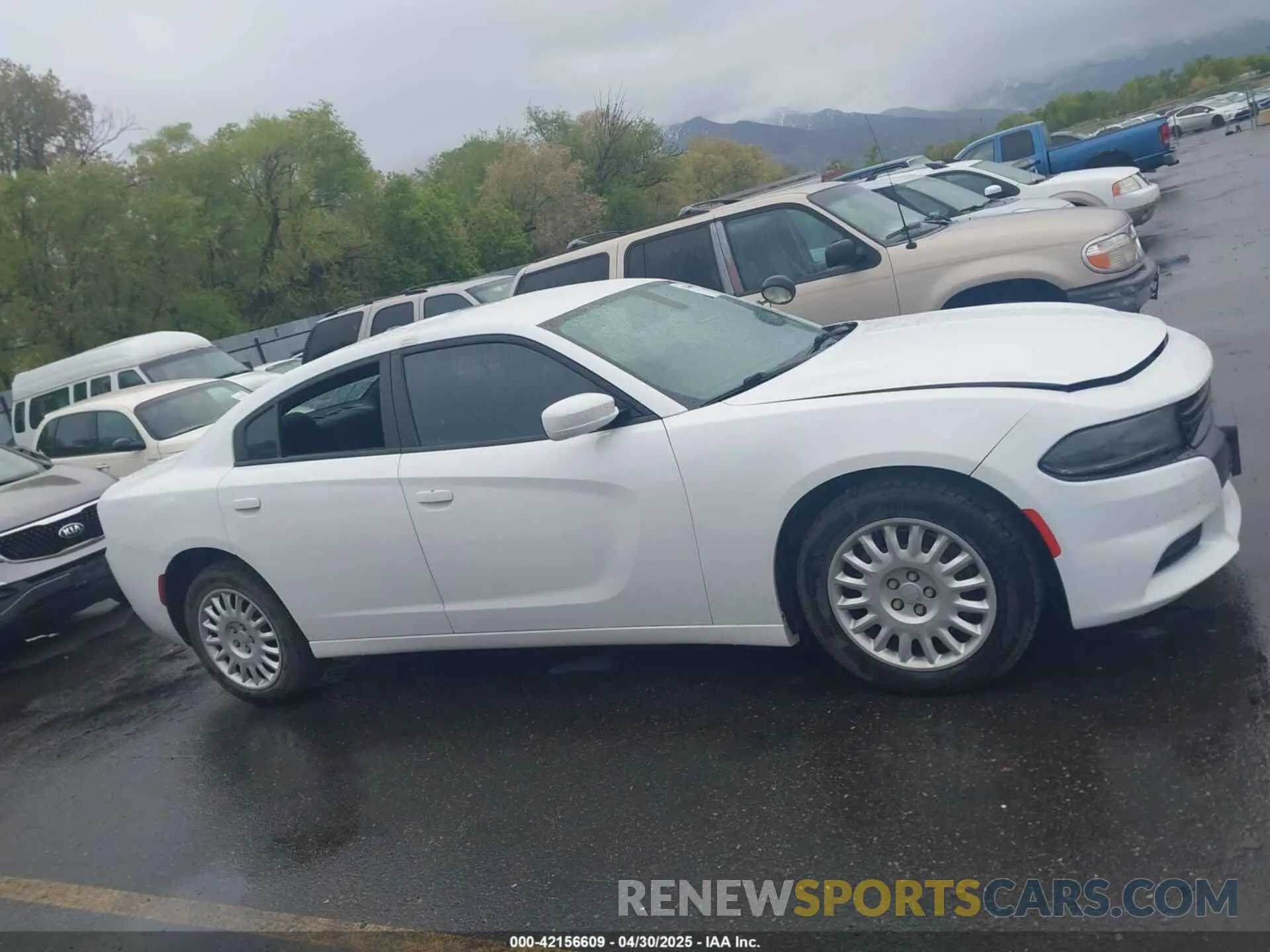 13 Photograph of a damaged car 2C3CDXKT3KH757530 DODGE CHARGER 2019