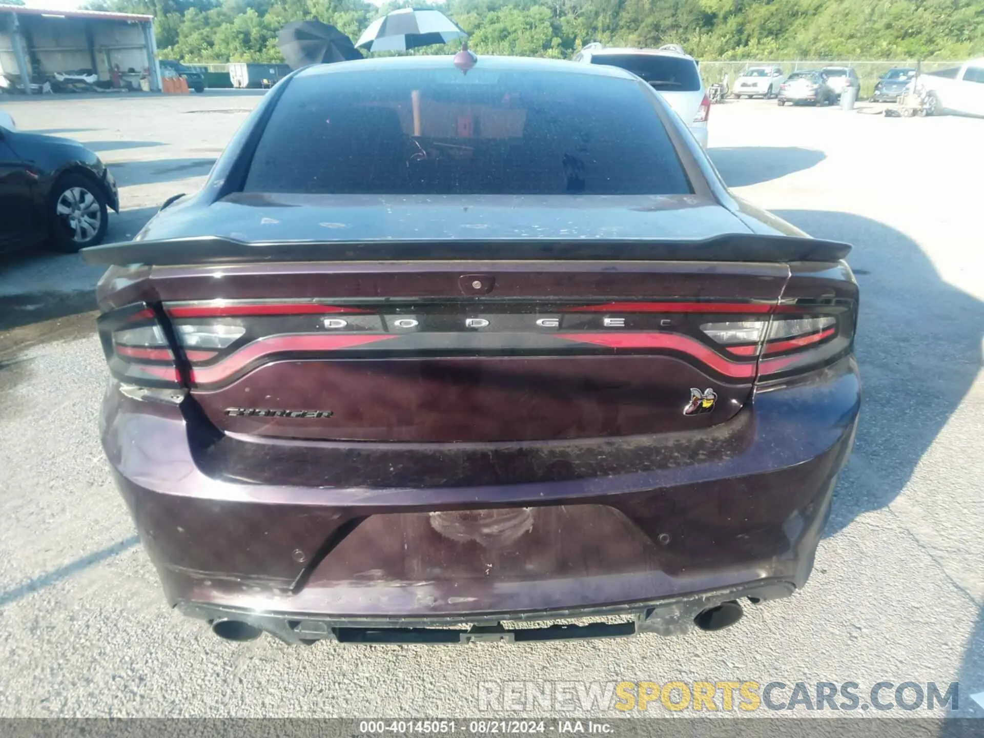 16 Photograph of a damaged car 2C3CDXGJ6LH238402 DODGE CHARGER 2020