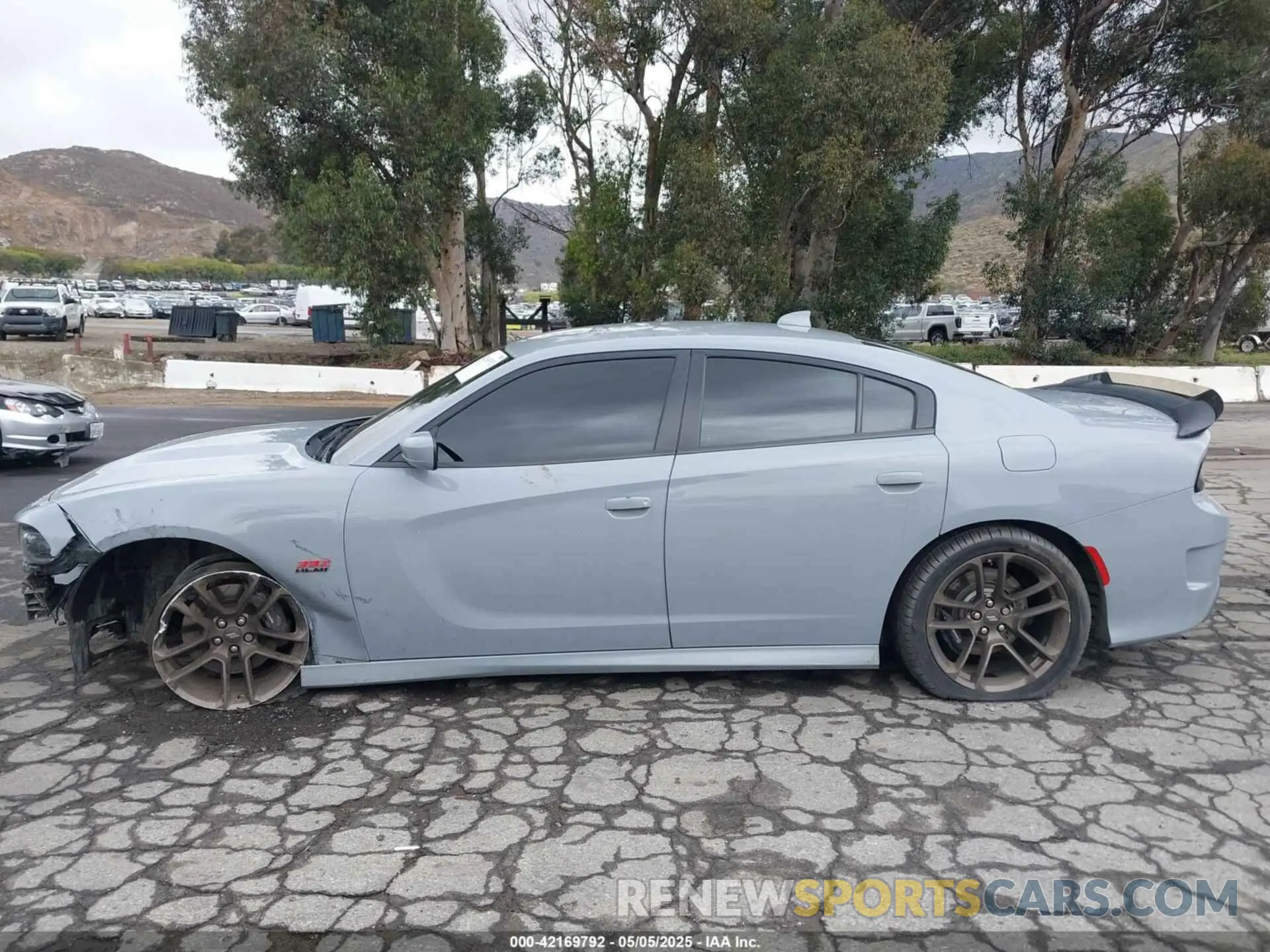 14 Photograph of a damaged car 2C3CDXGJ6MH561480 DODGE CHARGER 2021