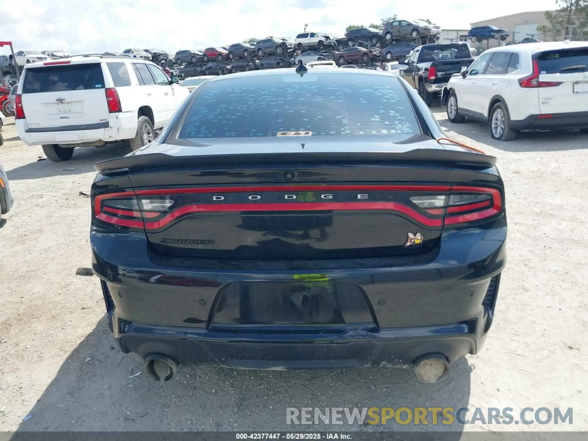 16 Photograph of a damaged car 2C3CDXGJ0NH135446 DODGE CHARGER 2022