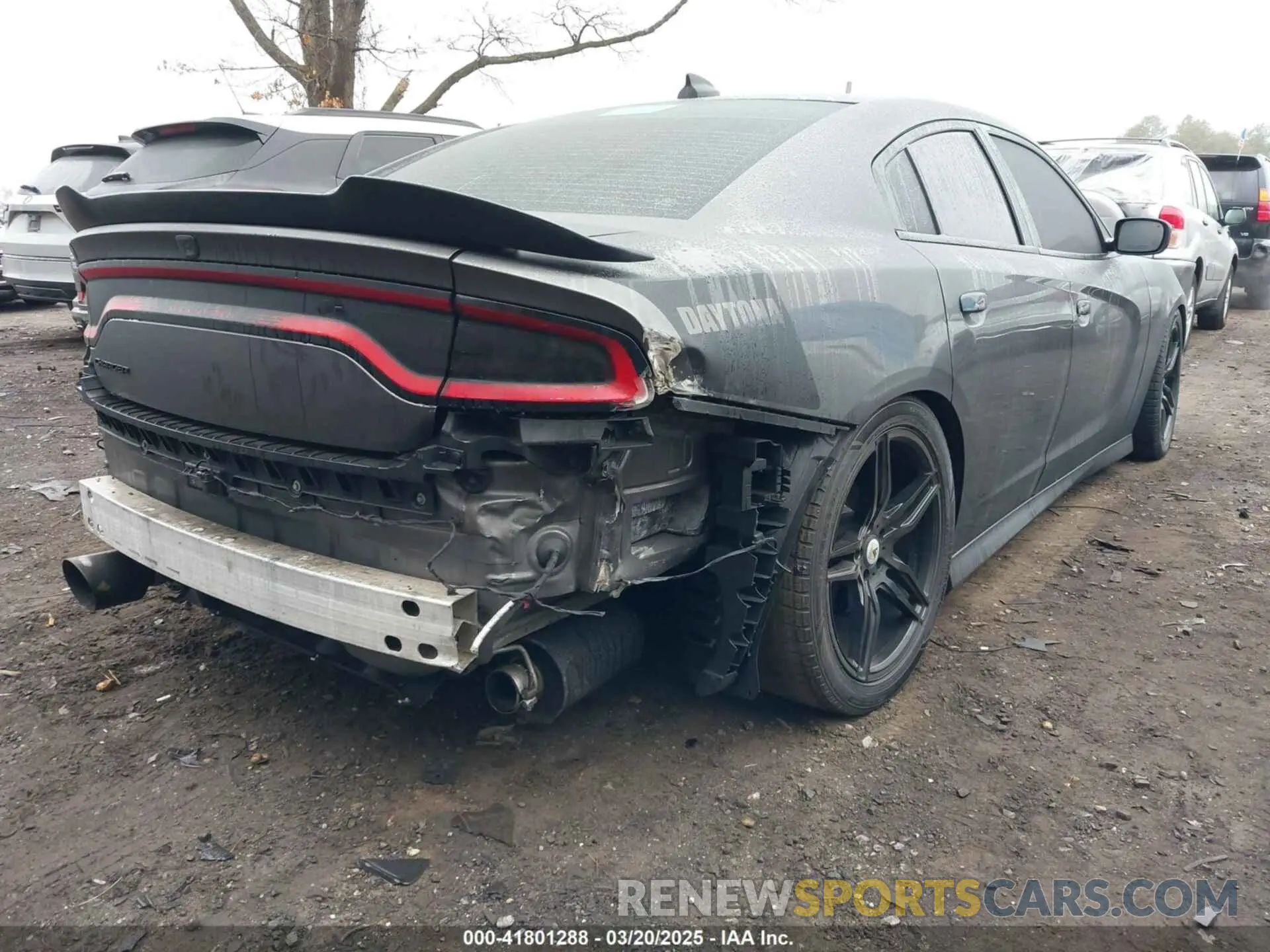 6 Photograph of a damaged car 2C3CDXGJ0NH195503 DODGE CHARGER 2022