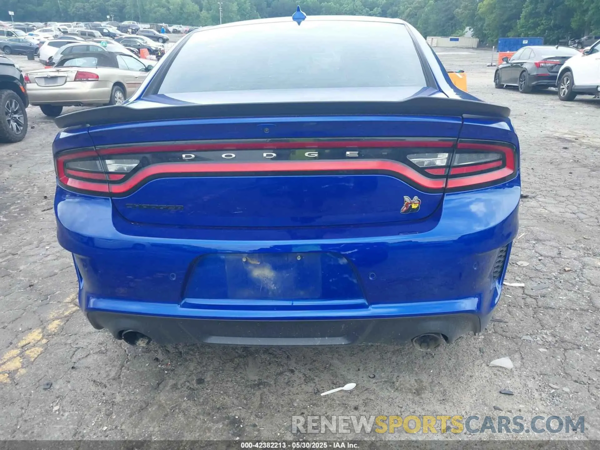 16 Photograph of a damaged car 2C3CDXGJ9NH176254 DODGE CHARGER 2022