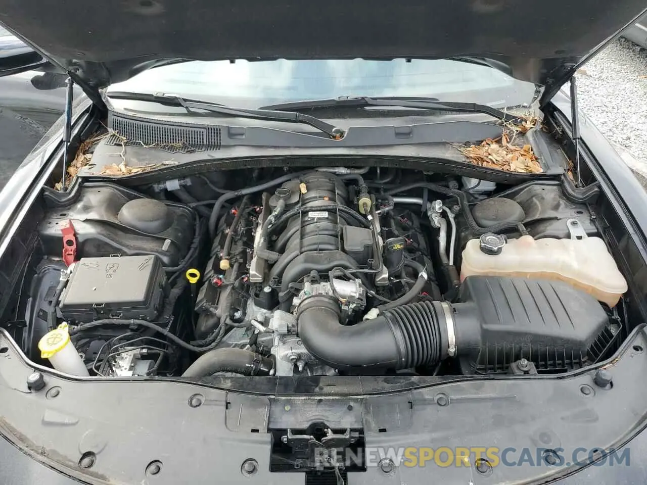 11 Photograph of a damaged car 2C3CDXAT5PH532731 DODGE CHARGER 2023