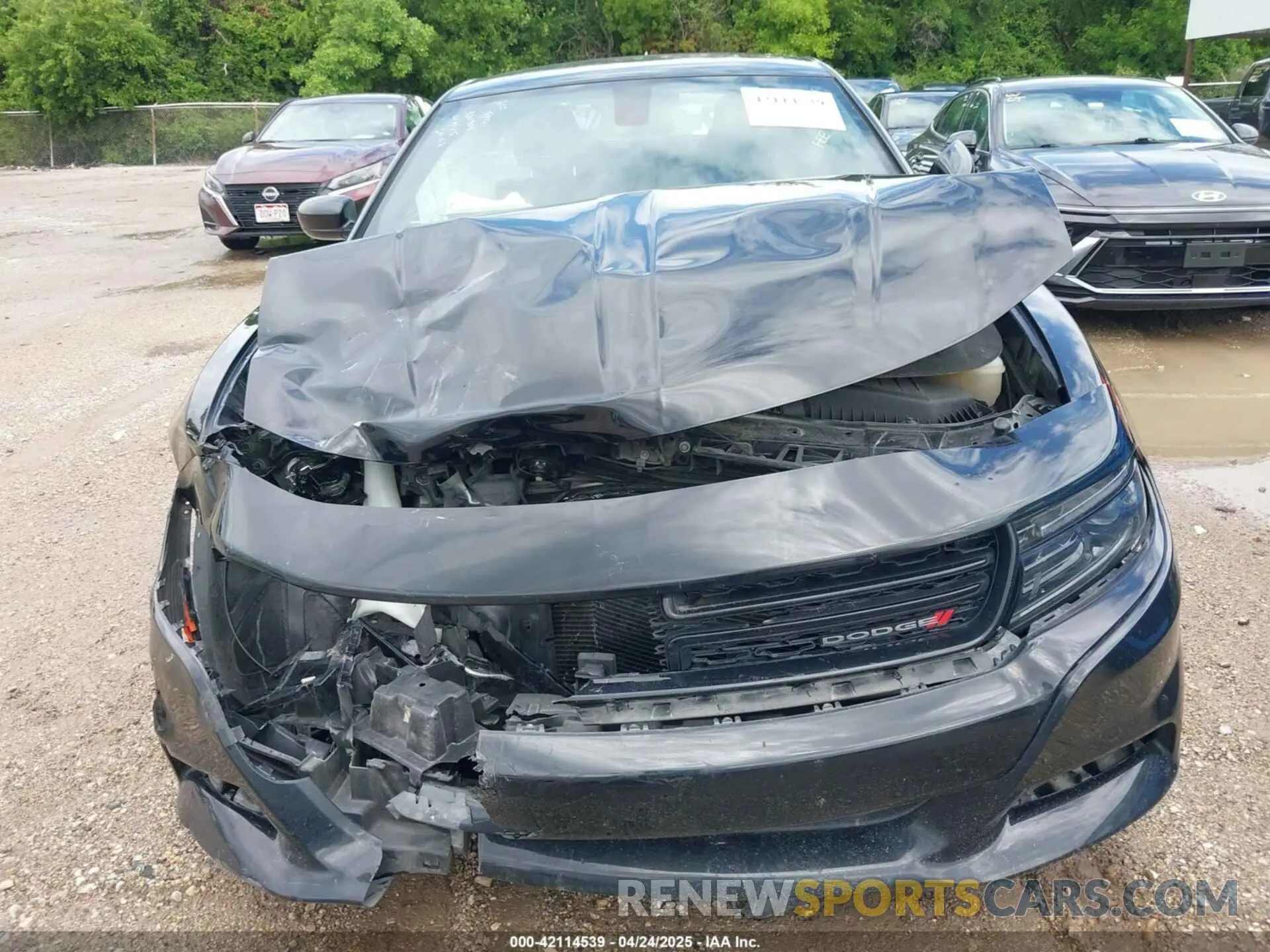 12 Photograph of a damaged car 2C3CDXBG9PH563787 DODGE CHARGER 2023