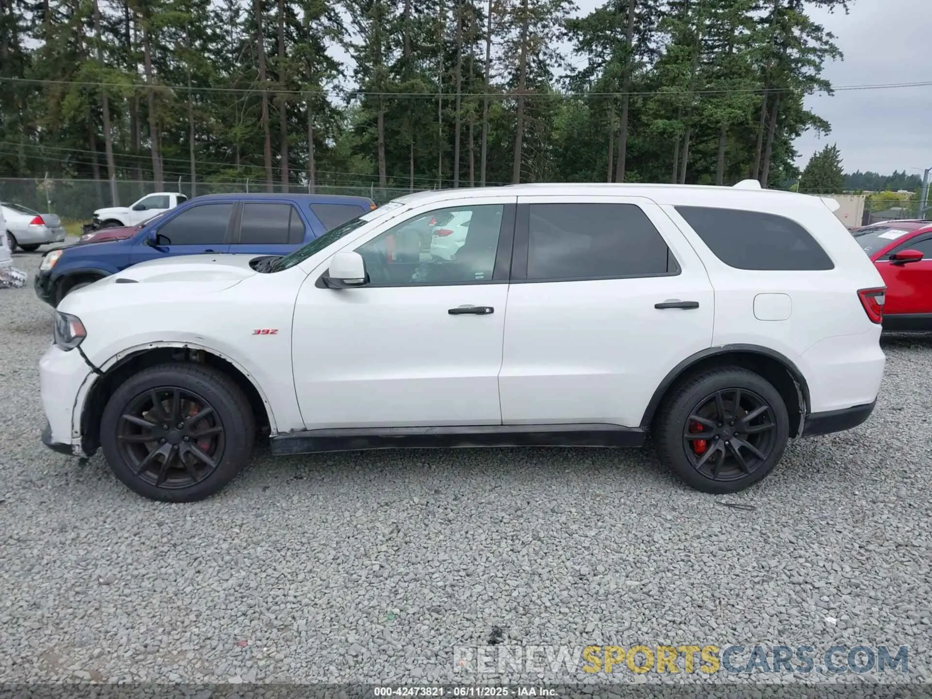 14 Photograph of a damaged car 1C4SDJGJ0KC581440 DODGE DURANGO 2019