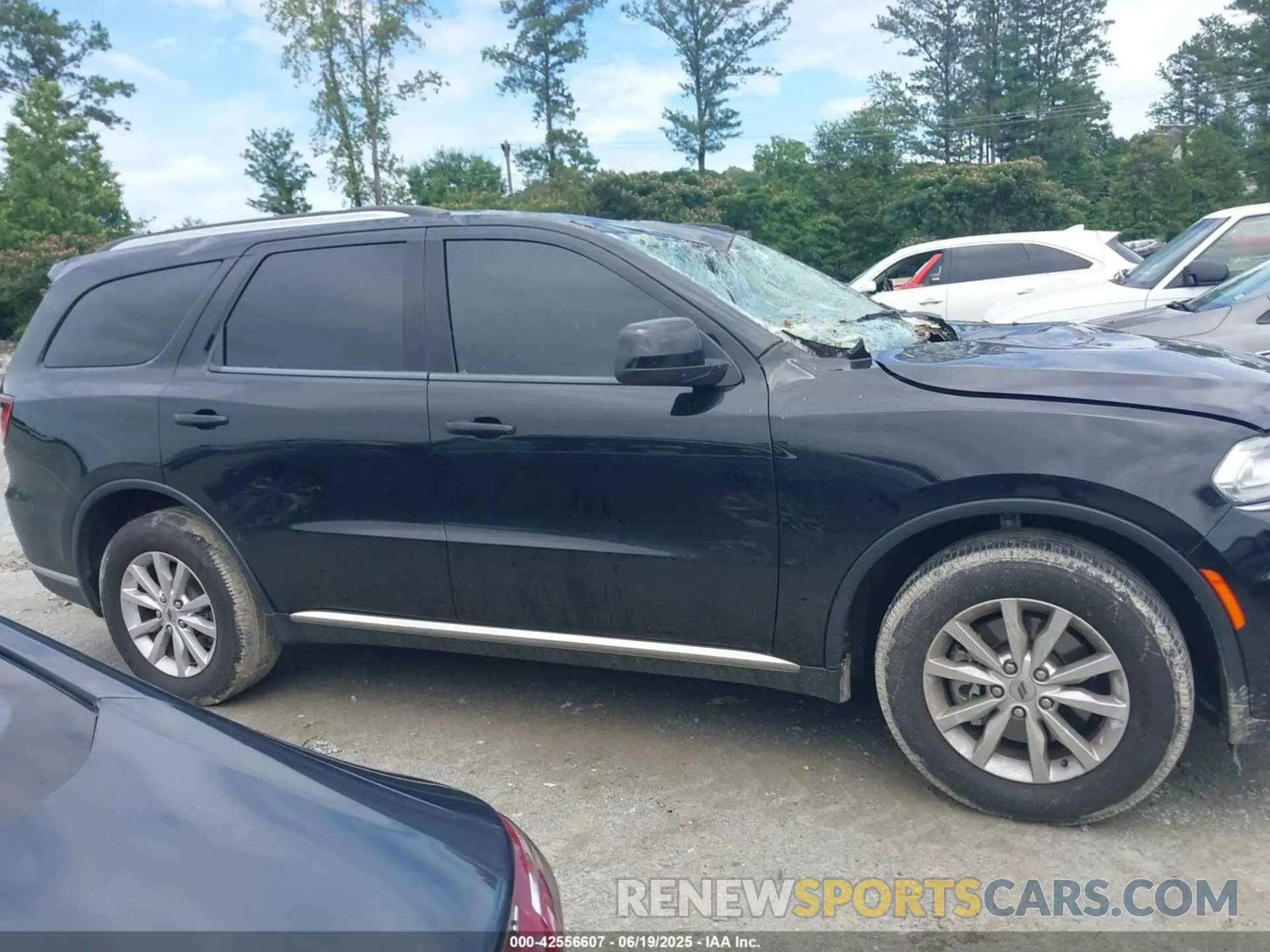 13 Photograph of a damaged car 1C4RDHAG9NC103056 DODGE DURANGO 2022