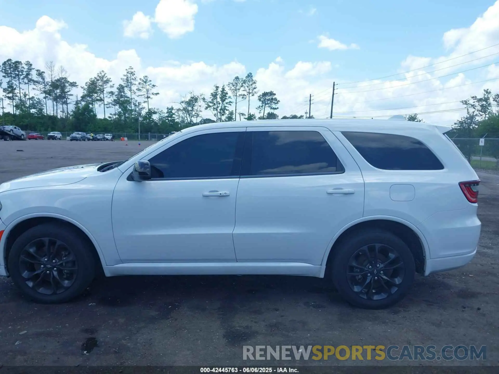 14 Photograph of a damaged car 1C4RDJAG2NC174333 DODGE DURANGO 2022