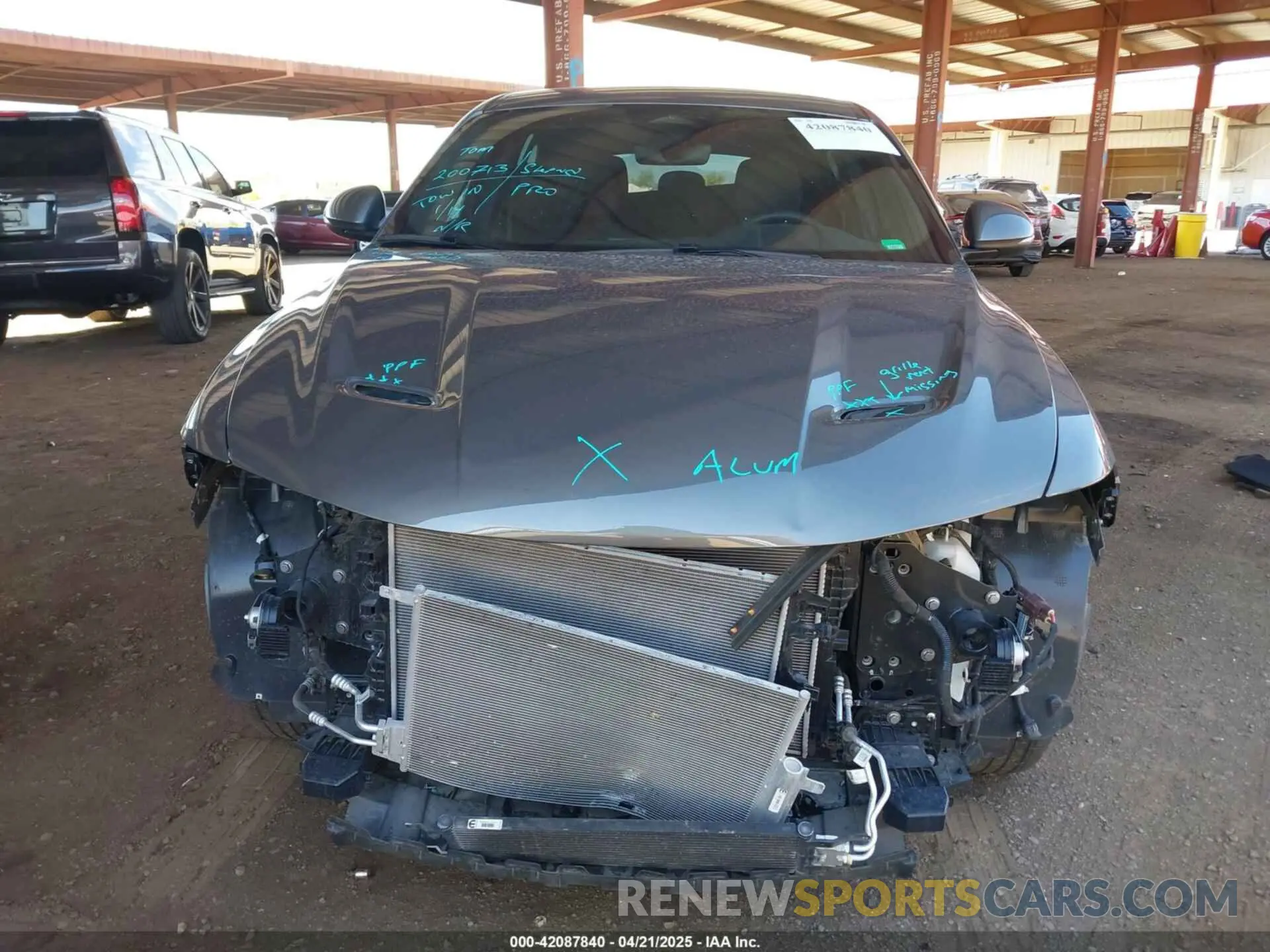 13 Photograph of a damaged car ZACNDFAN2P3A01833 DODGE HORNET 2023