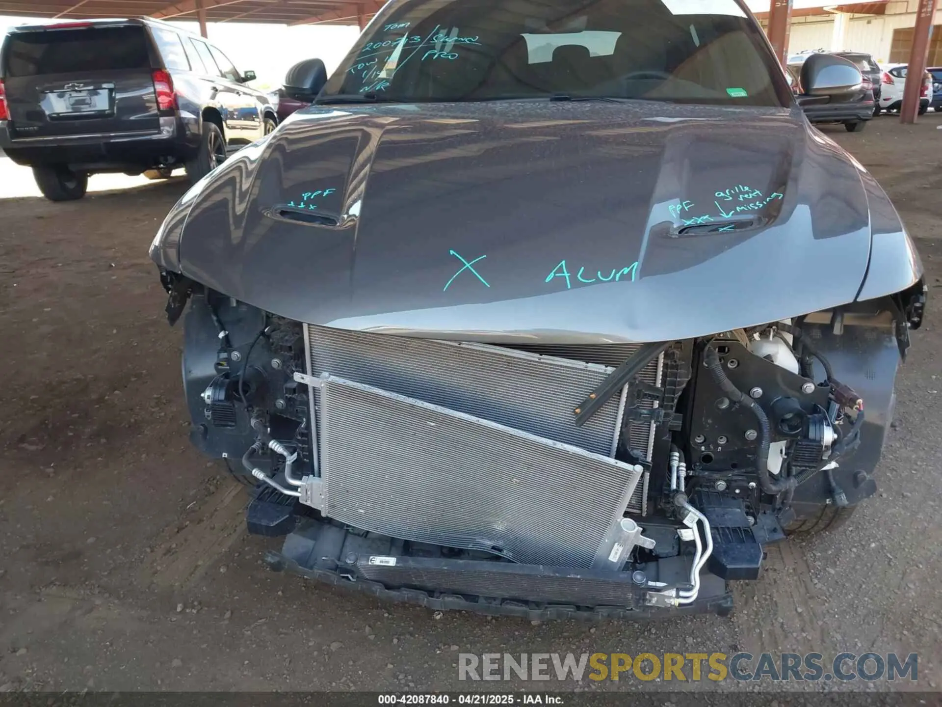 6 Photograph of a damaged car ZACNDFAN2P3A01833 DODGE HORNET 2023