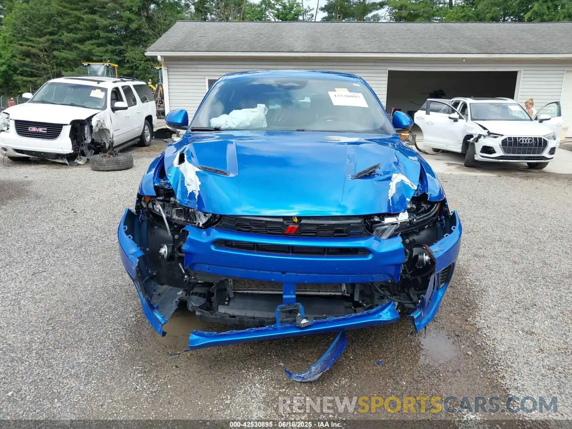 13 Photograph of a damaged car ZACNDFAN4R3A36361 DODGE HORNET 2024