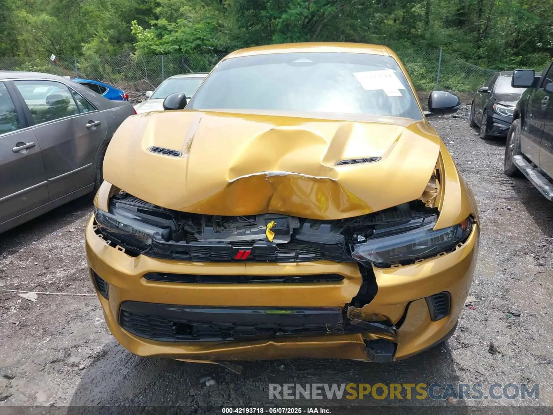 12 Photograph of a damaged car ZACNDFAN4R3A41186 DODGE HORNET 2024