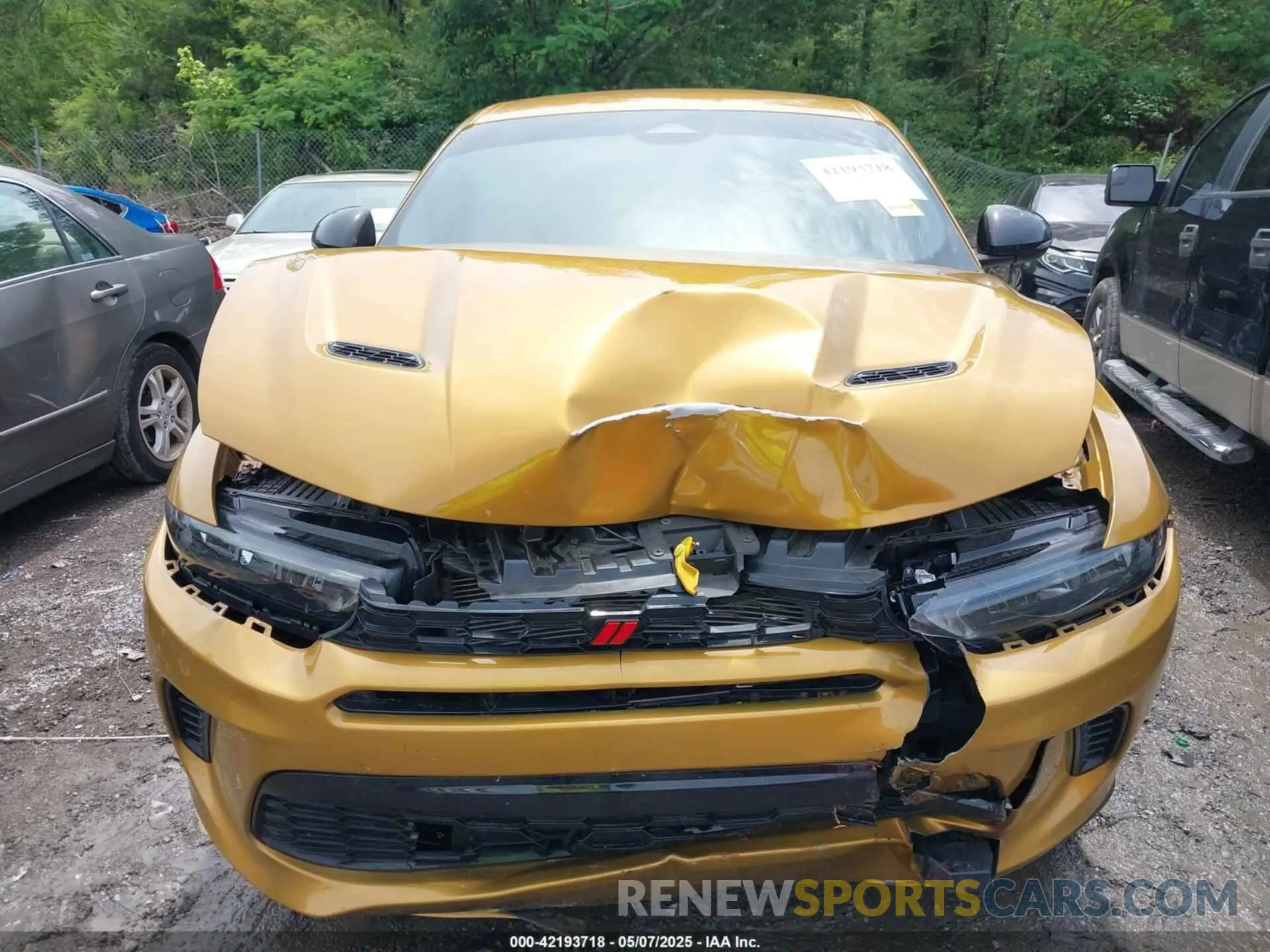 6 Photograph of a damaged car ZACNDFAN4R3A41186 DODGE HORNET 2024