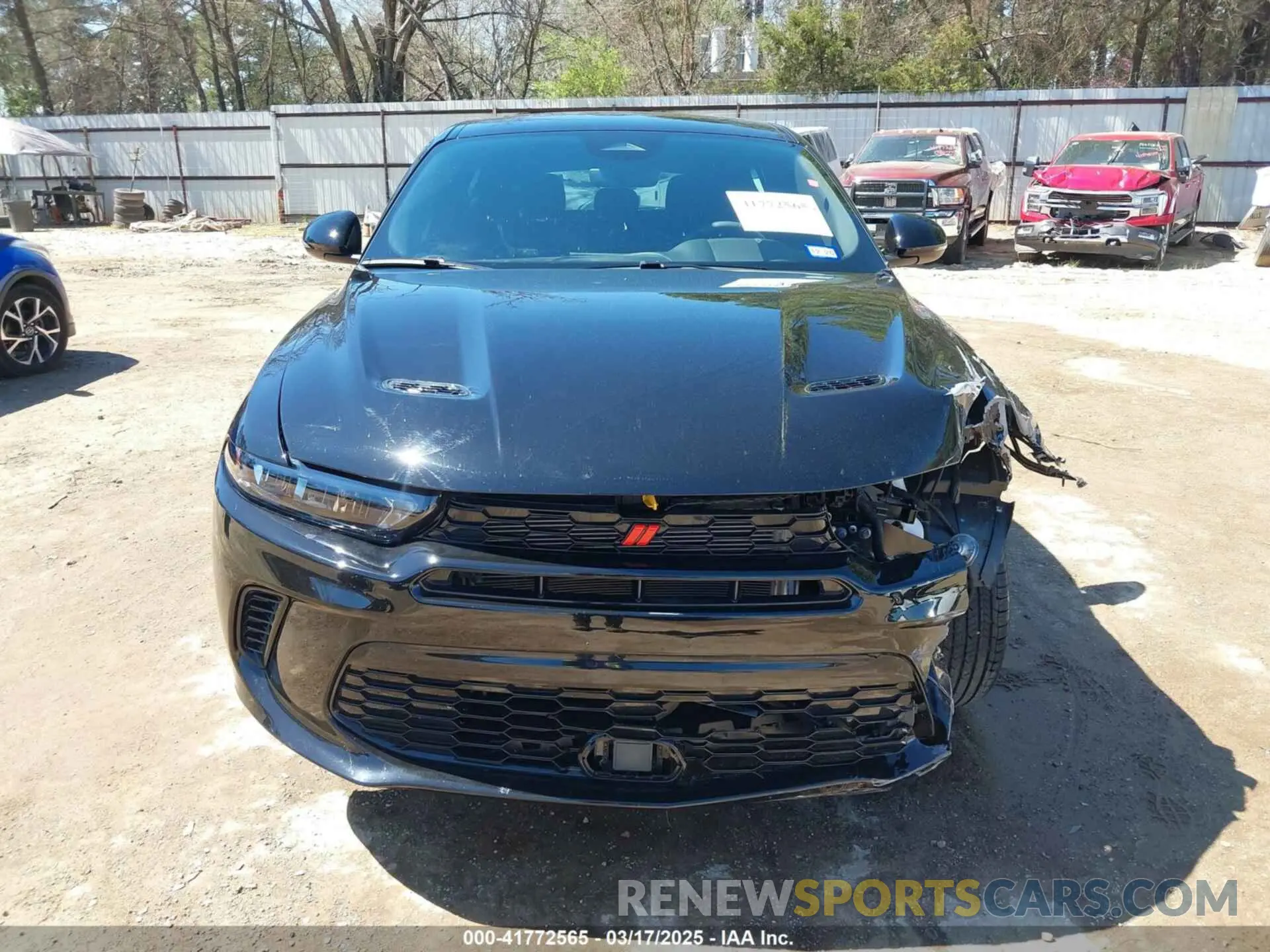 13 Photograph of a damaged car ZACNDFAN6R3A40380 DODGE HORNET 2024