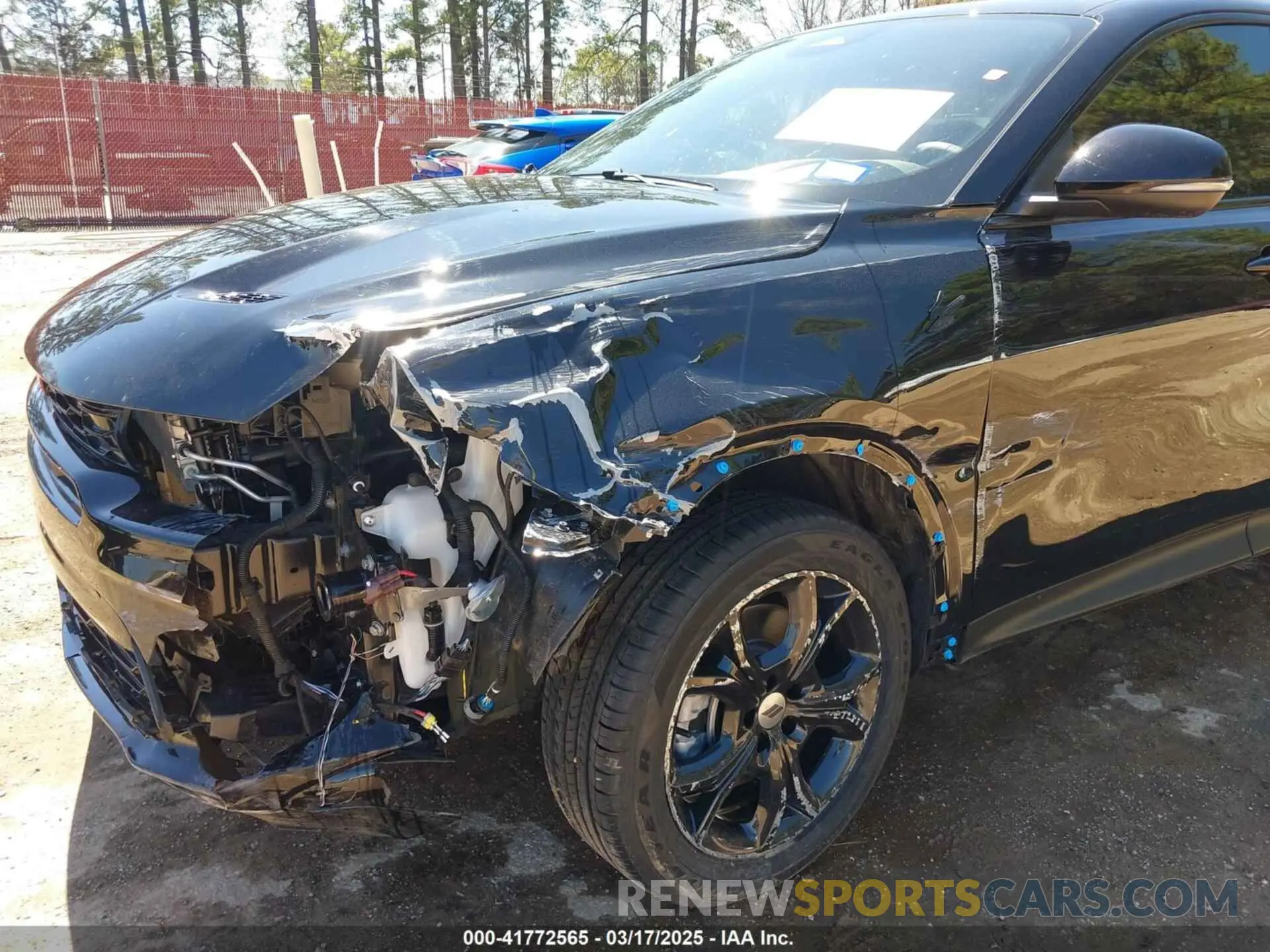 6 Photograph of a damaged car ZACNDFAN6R3A40380 DODGE HORNET 2024