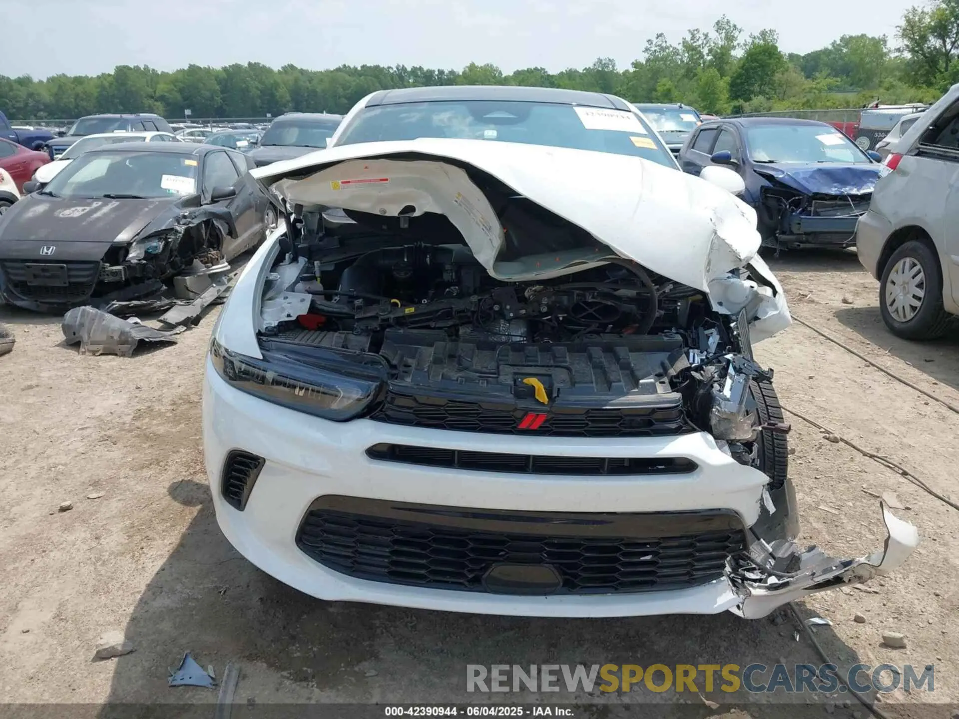 12 Photograph of a damaged car ZACNDFANXR3A36879 DODGE HORNET 2024